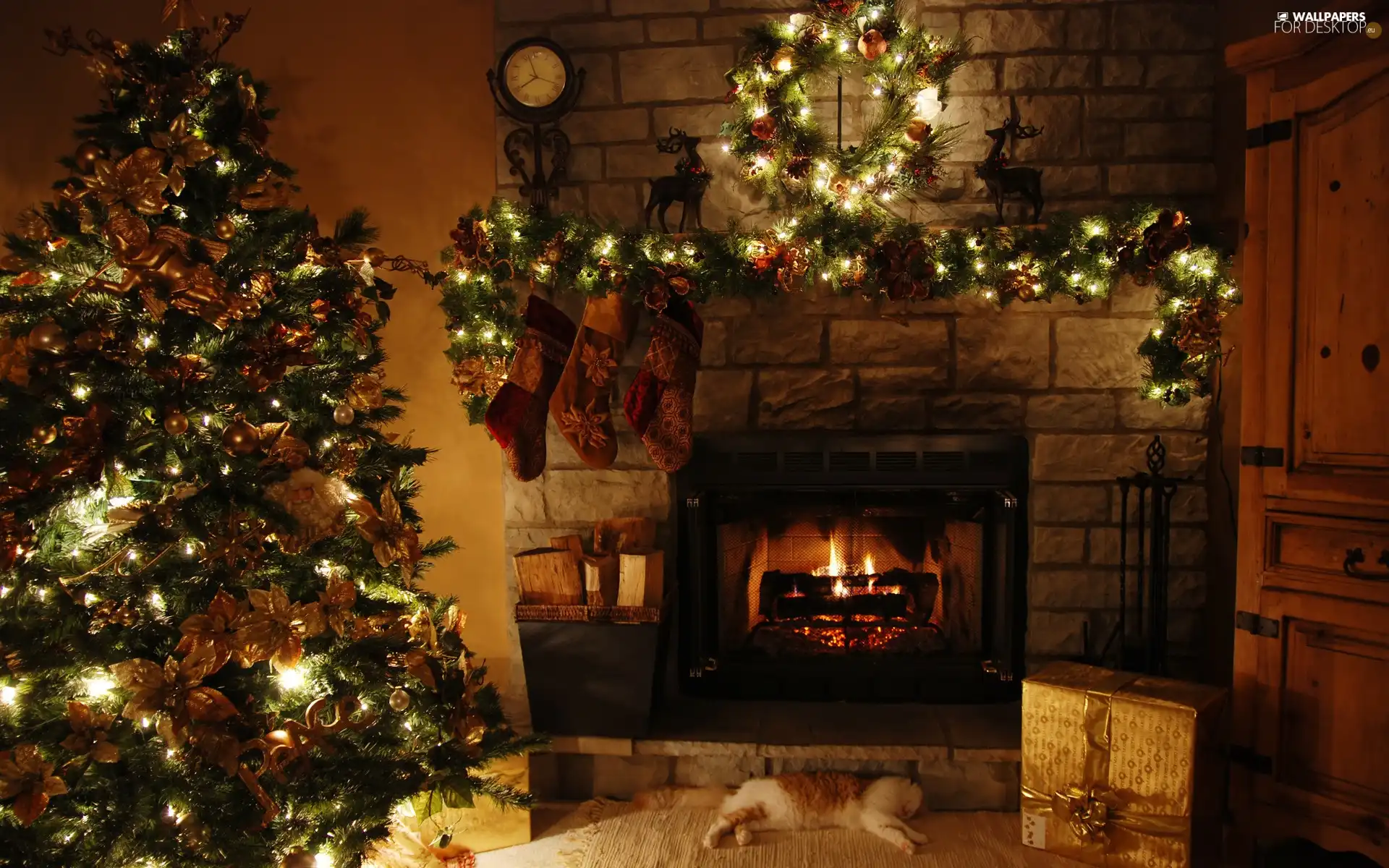 cat, christmas tree, Lights, socks, gifts, burner chimney
