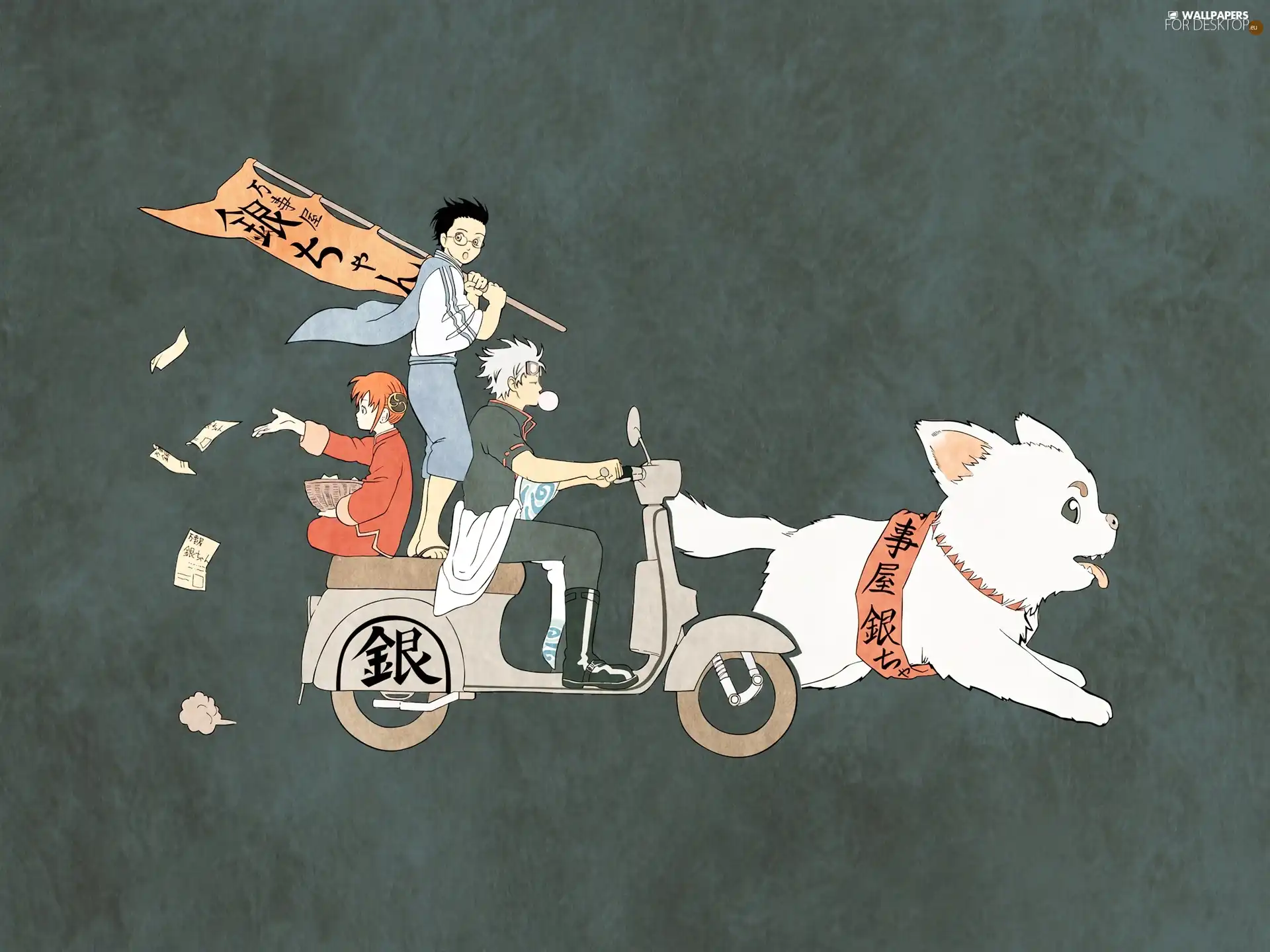 cat, Gintama, scooter