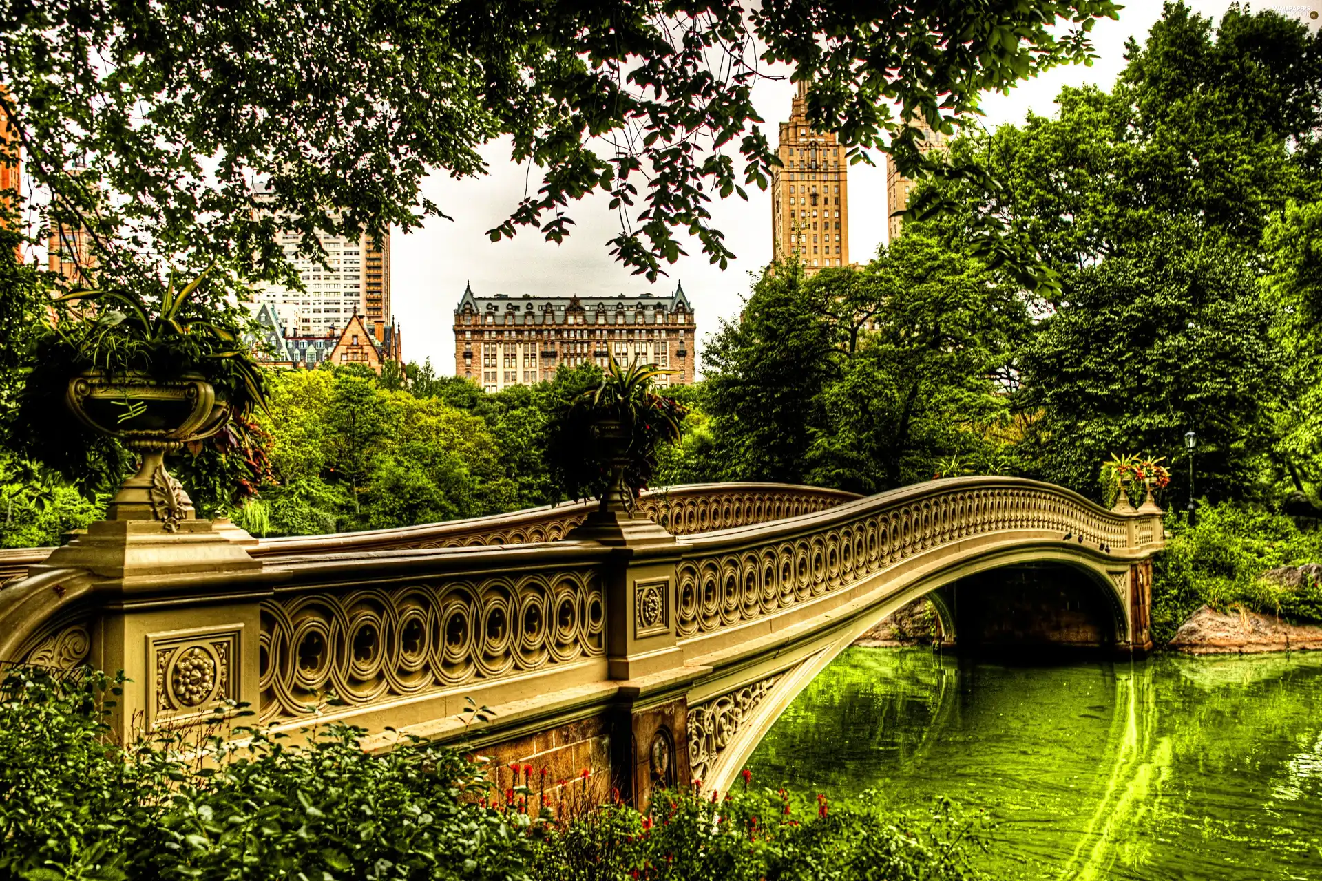 Central Park, bridge