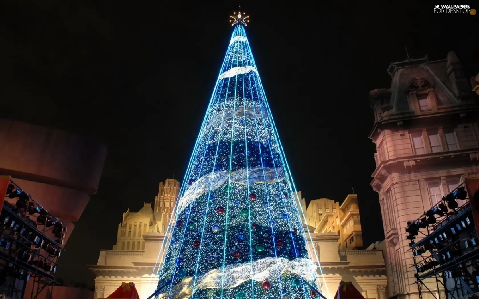town, christmas tree, centre