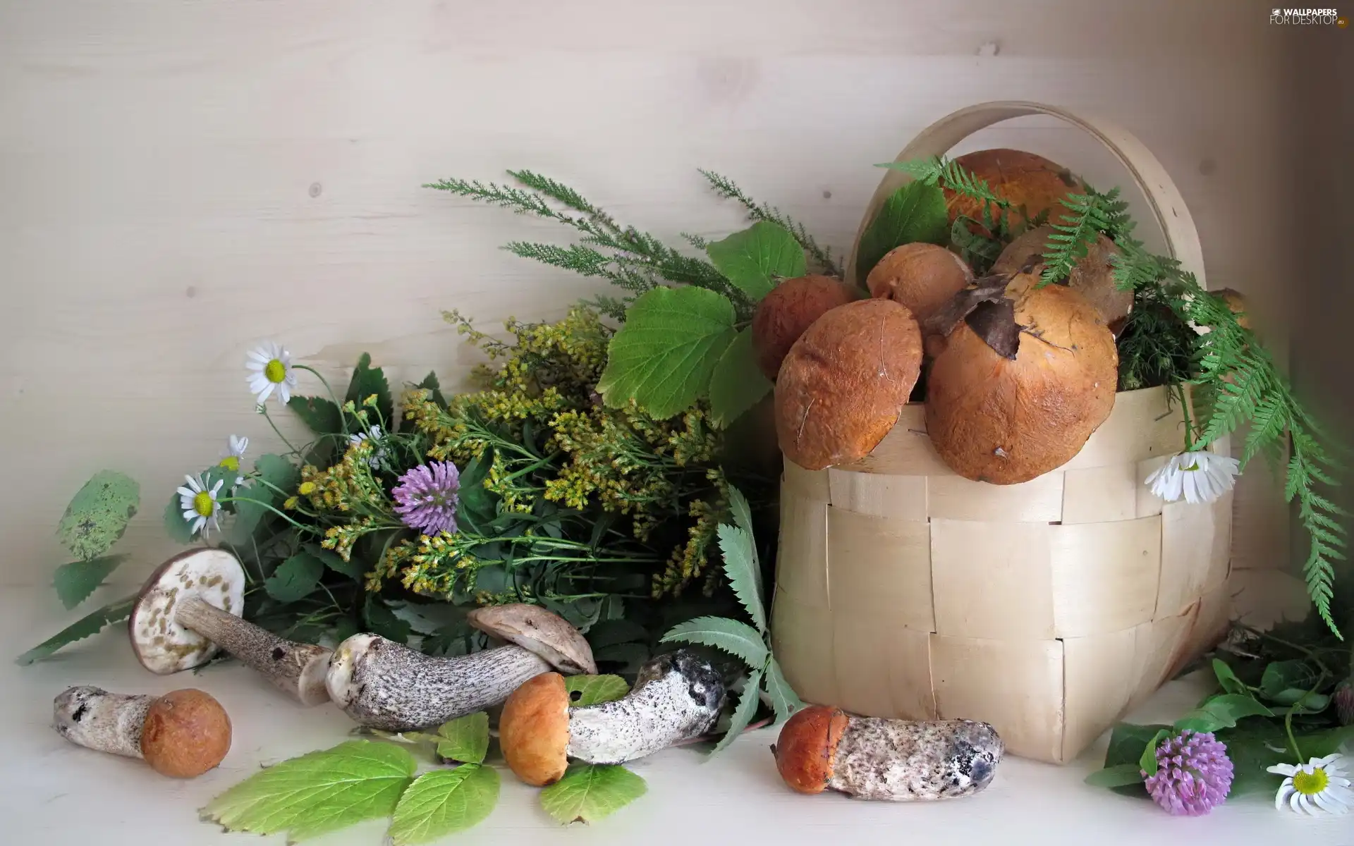 ceps, basket, full