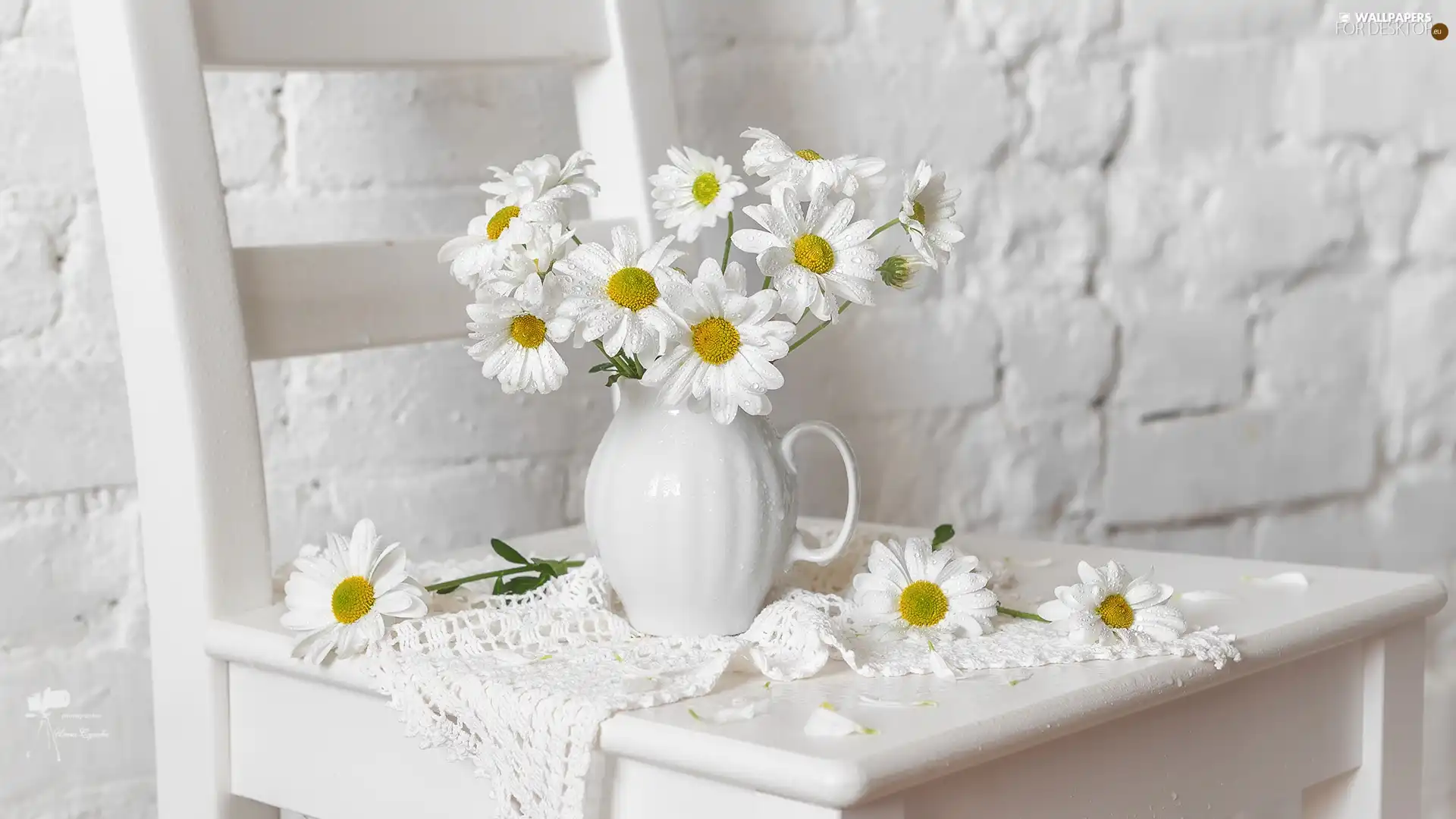 napkin, Chair, White, jug, daisy