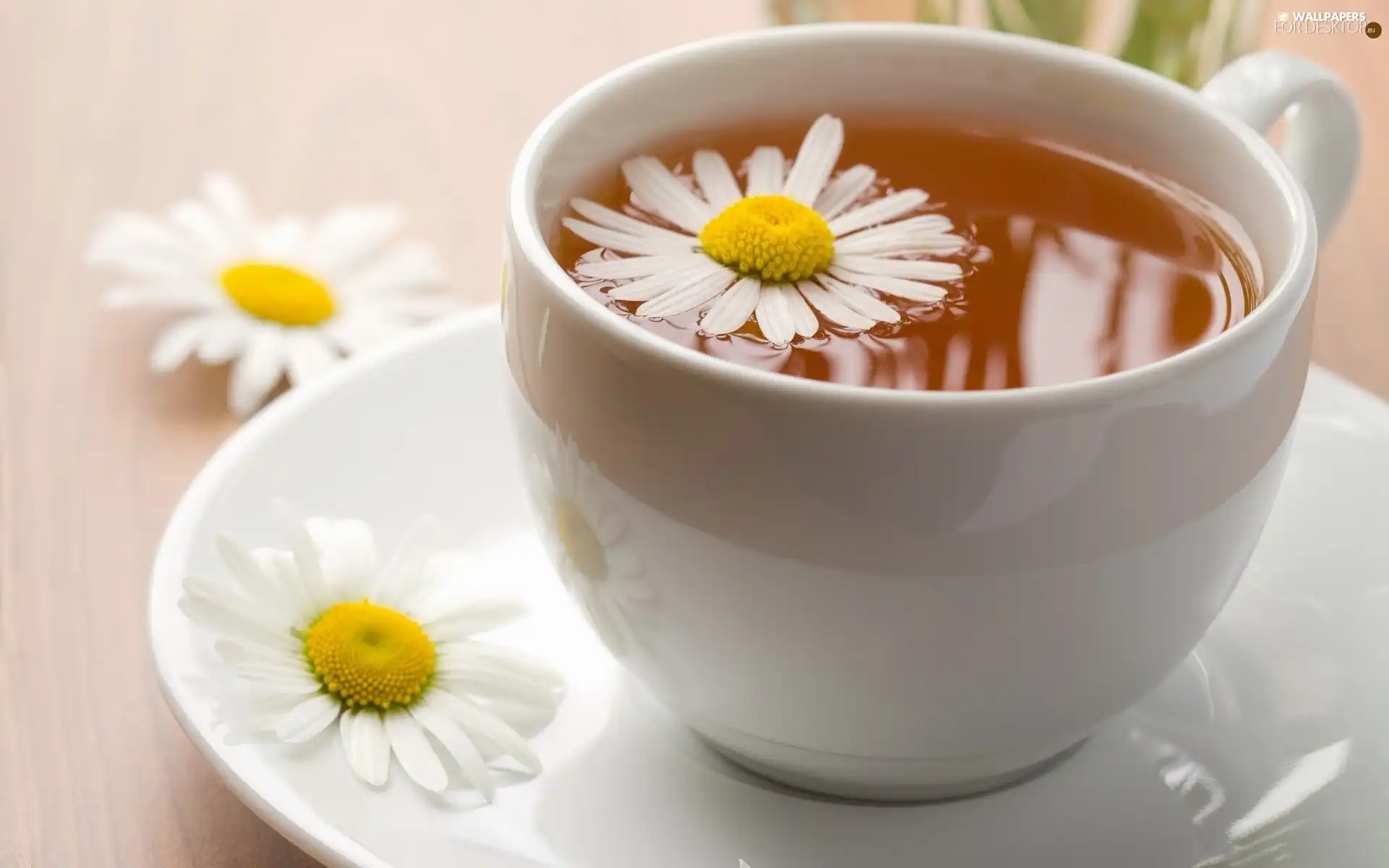 chamomile, cup, tea