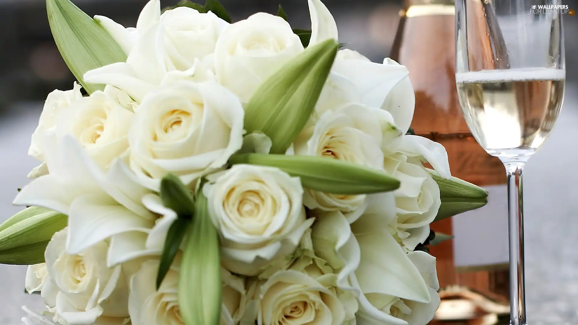 bouquet, rouge, Champagne, white