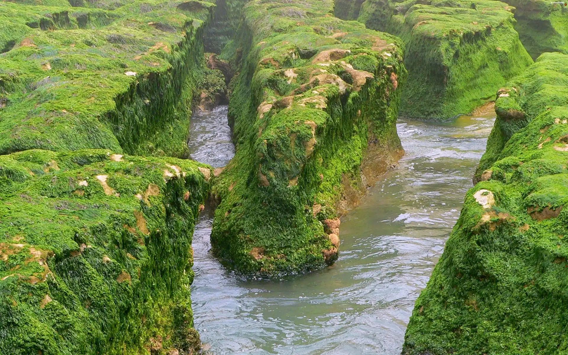 rivers, The relief, channel