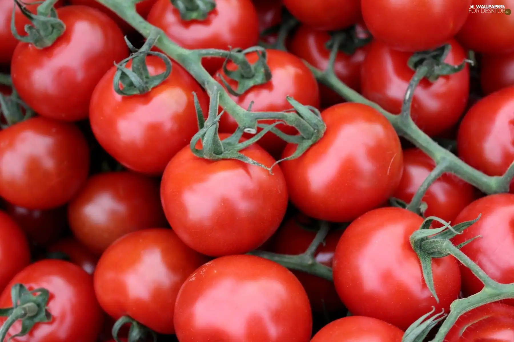 tomatoes, cherry