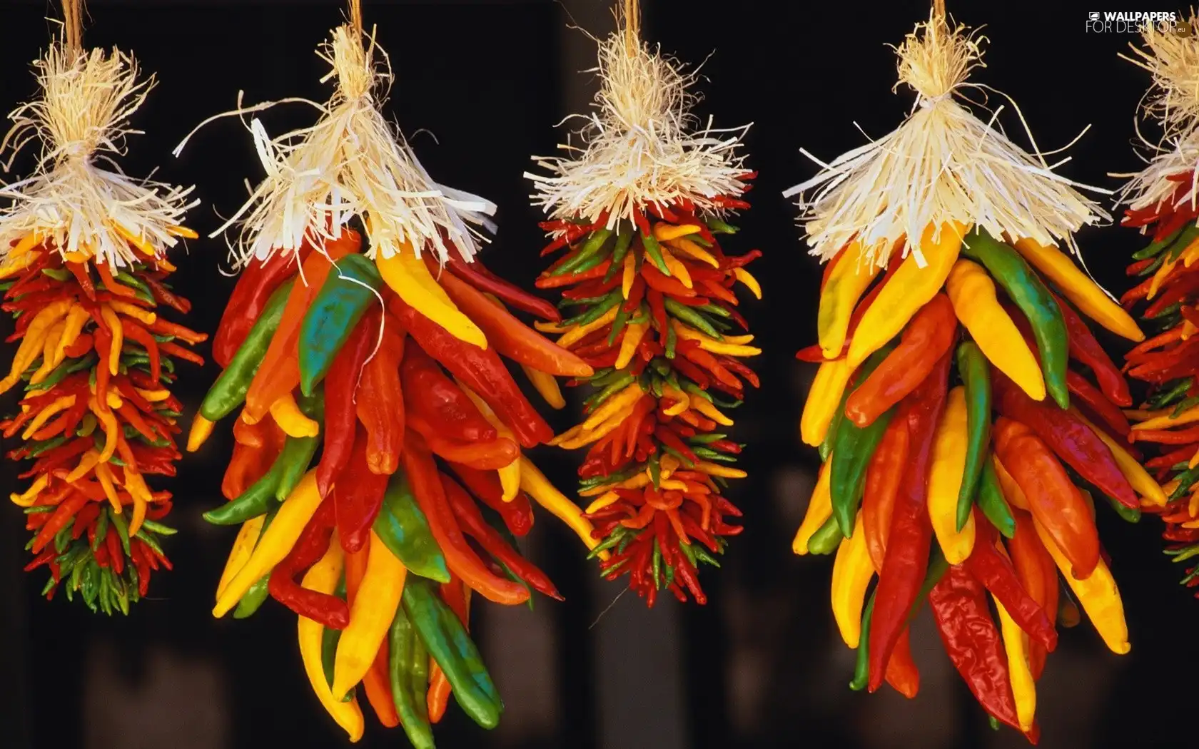 dried, Chilies