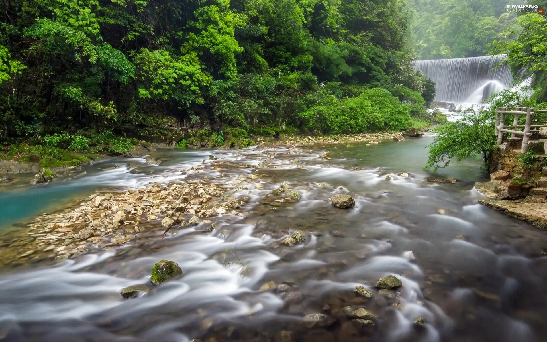 forest, River, China, waterfall