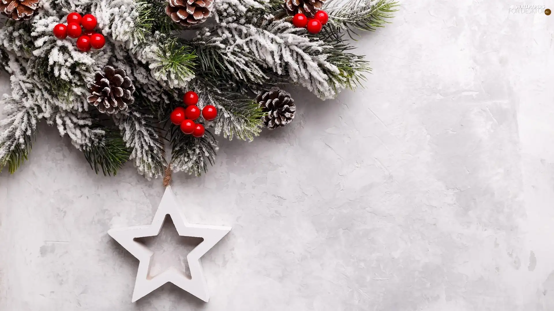 blueberries, Pendant, Christmas, starfish, ornamentation, cones, Twigs, Christmas