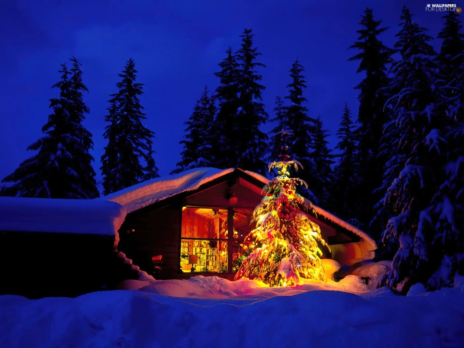cottage, winter, christmas, forest