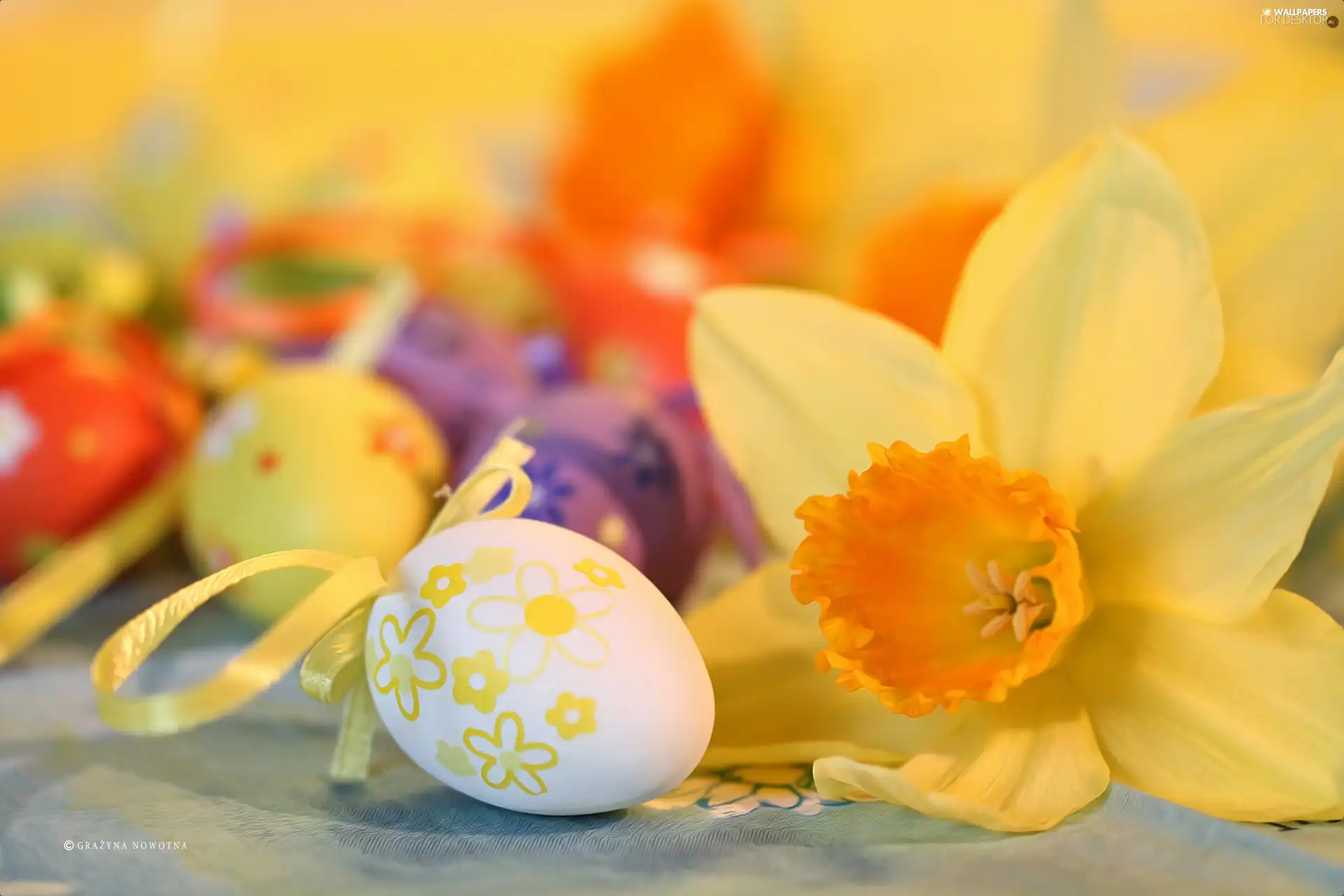 christmas, Easter, ornamentation, jonquil, eggs