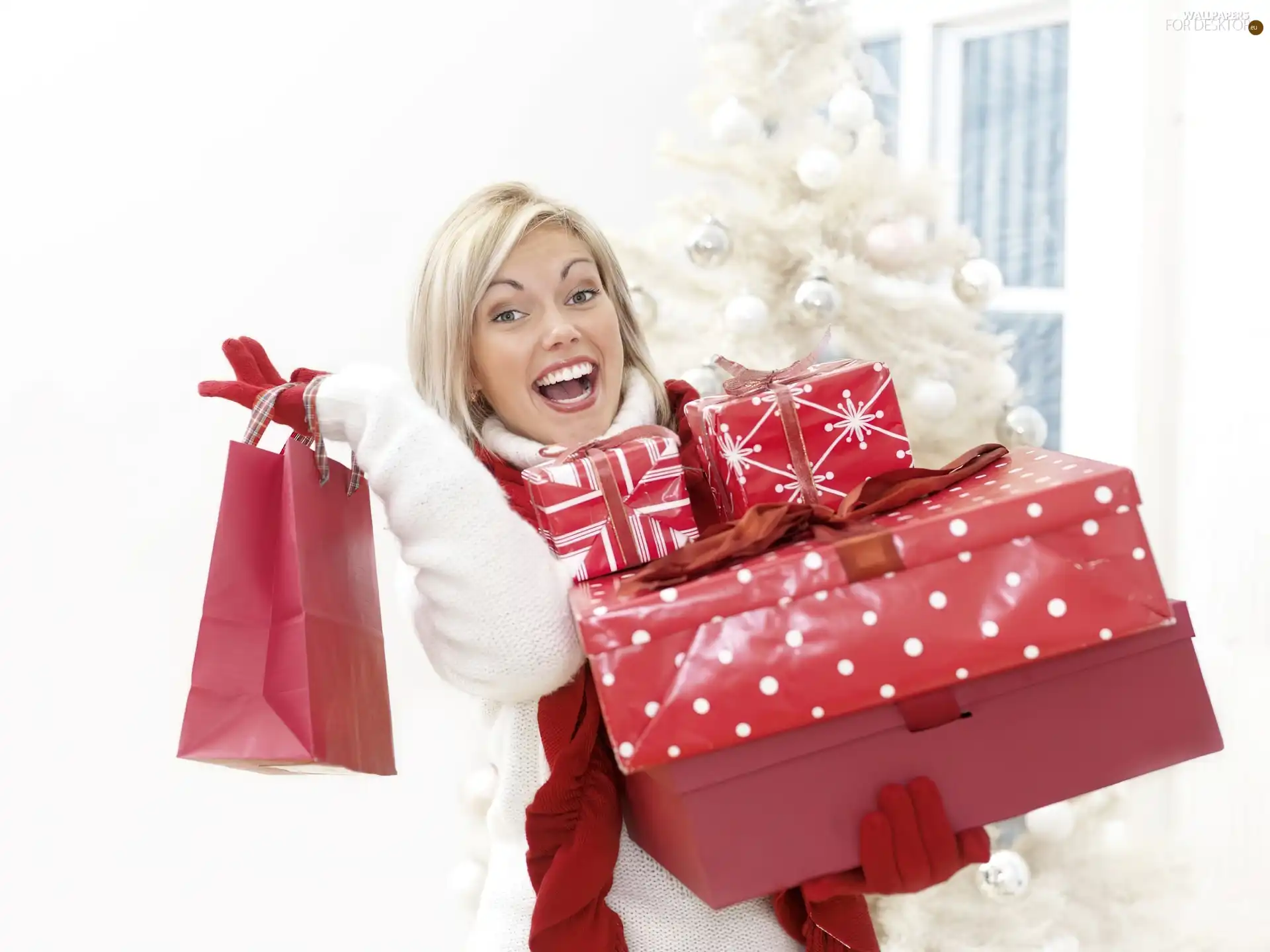 Women, shopping, Christmas, Packages