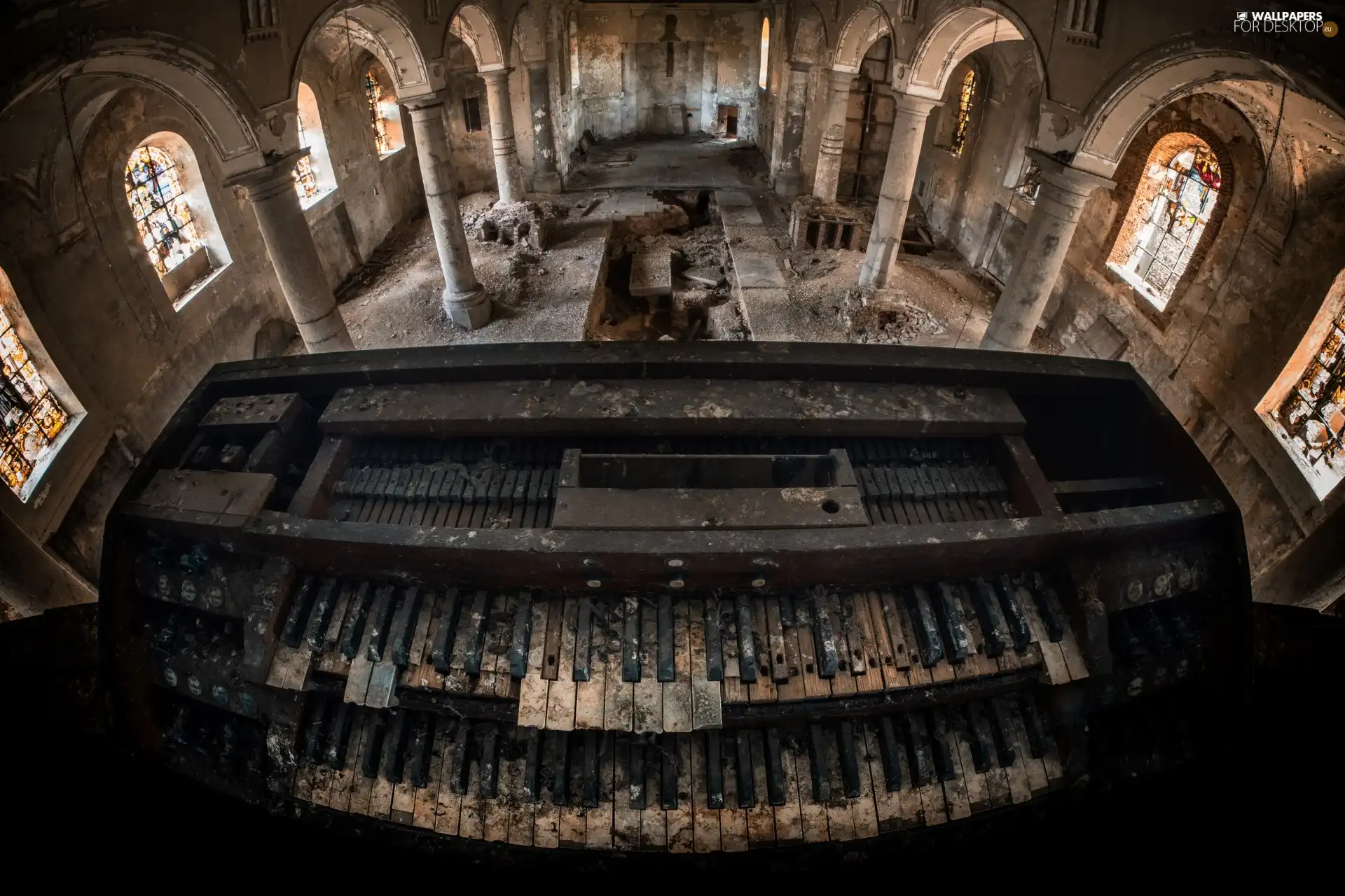 organ, Church