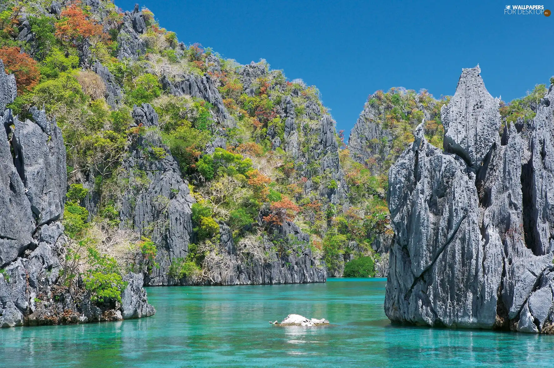 cliff, lake, rocks