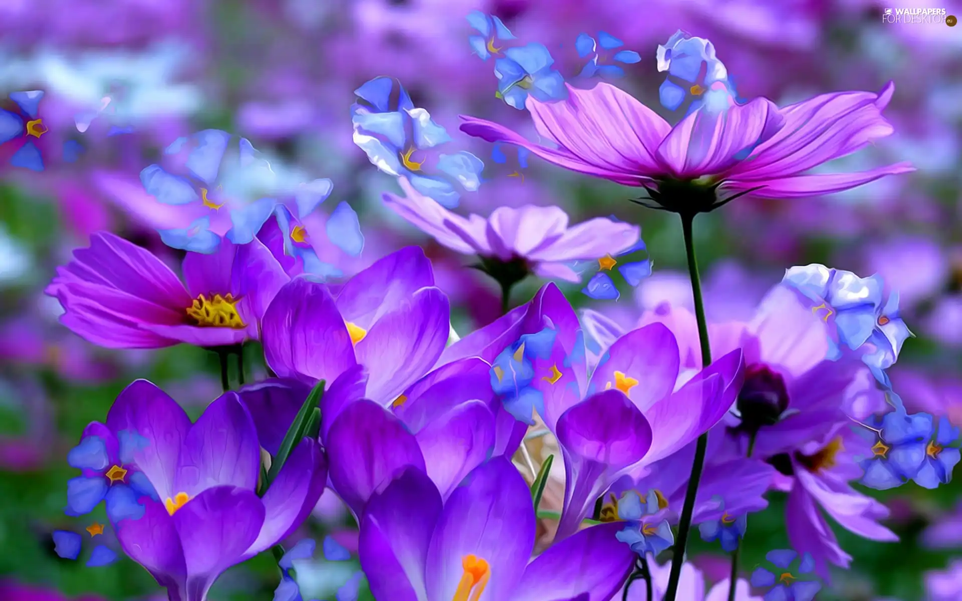 Cosmos, Close
