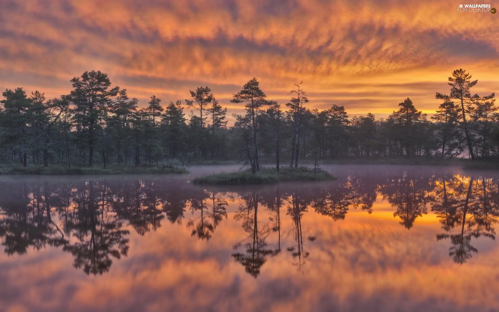 lake, viewes, Cloud, trees