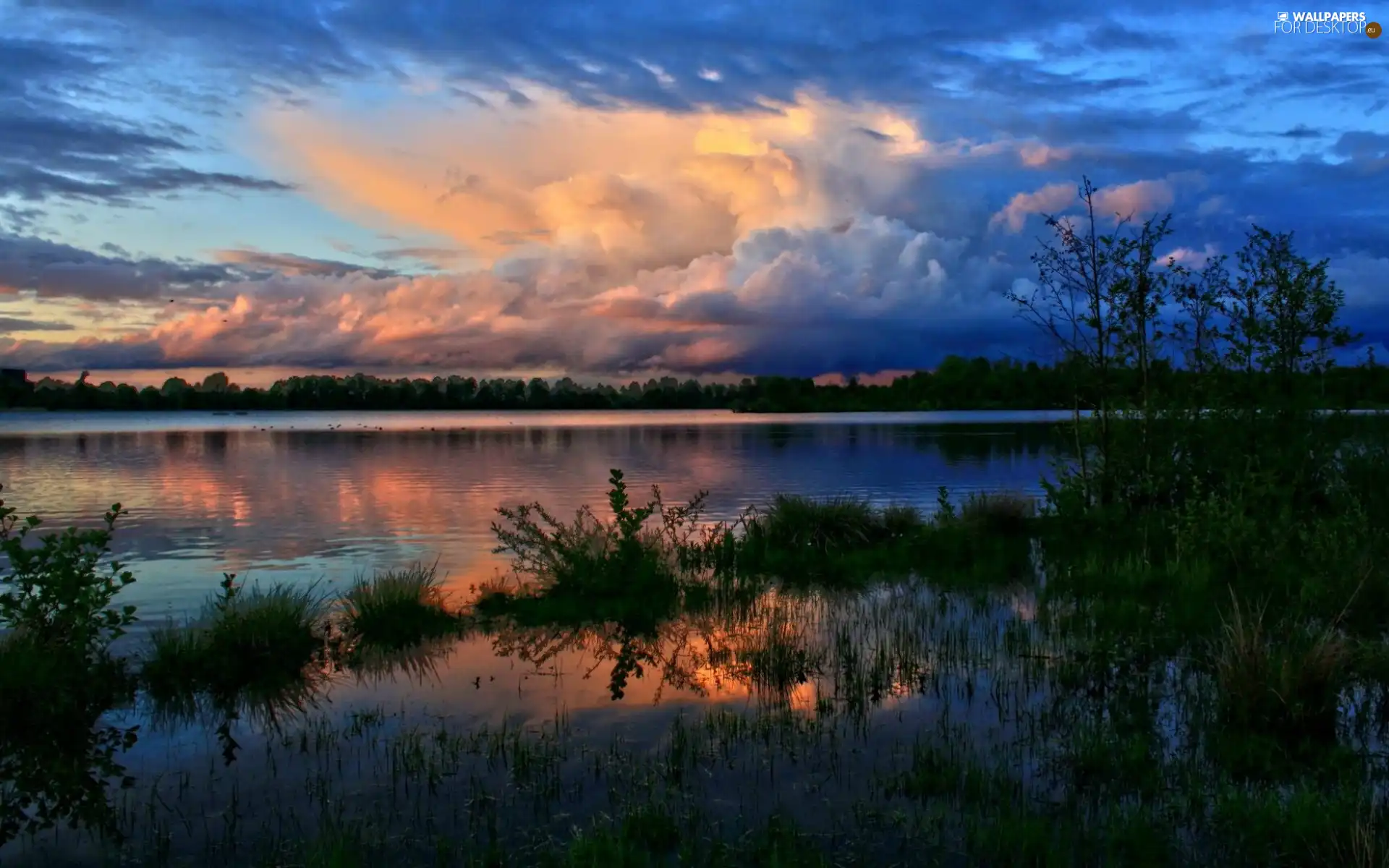 woods, lake, clouds, Dusk, Cumulus, scrub