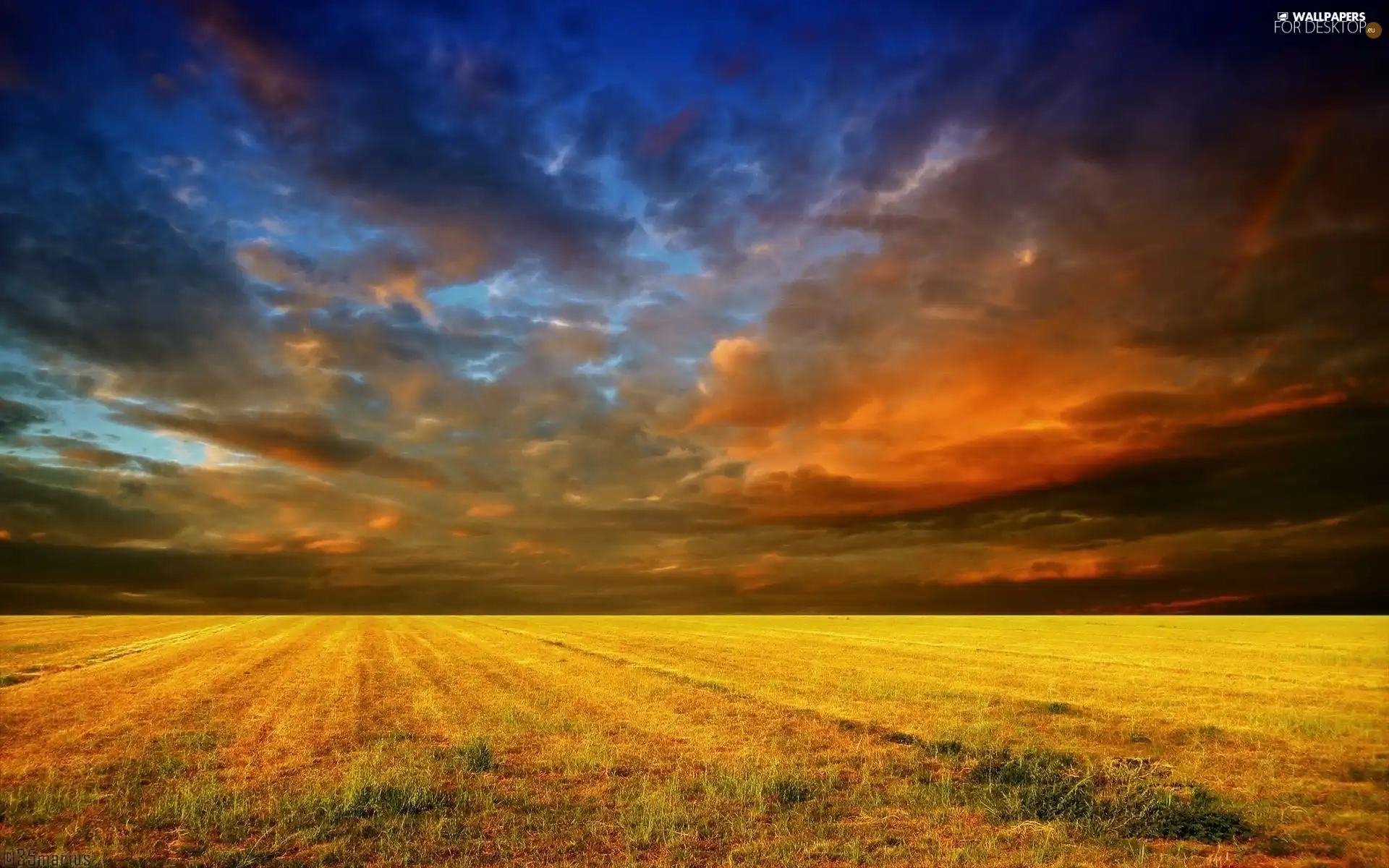 Field, clouds