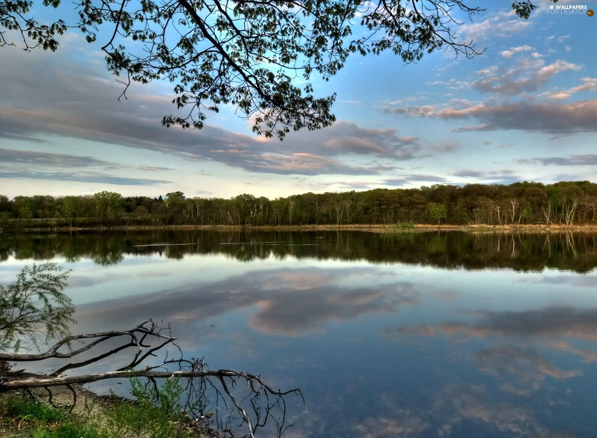 clouds, lake, forest