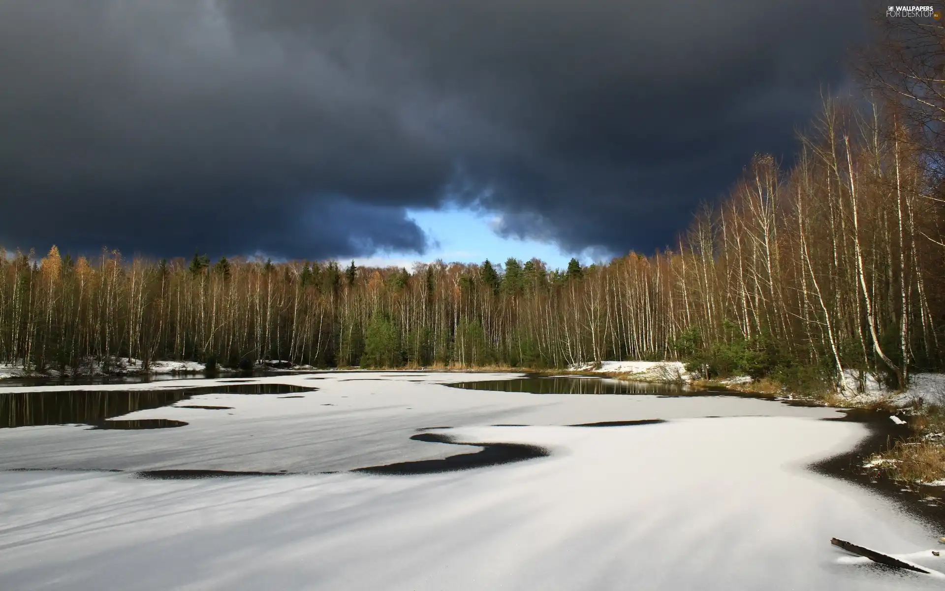 forest, winter, clouds, lake