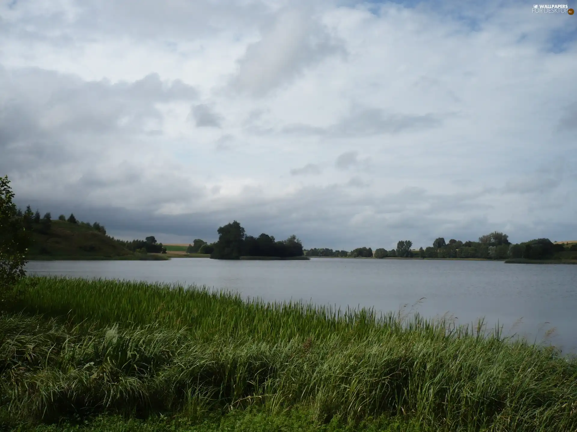 lake, coast, clouds, grassy