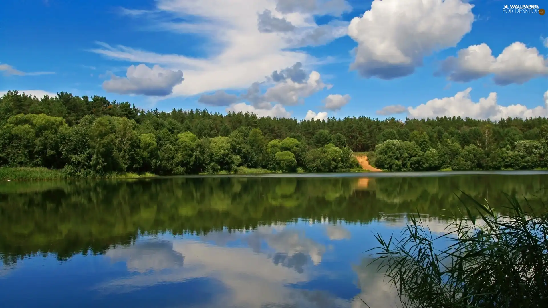 lake, Sky, clouds, forest