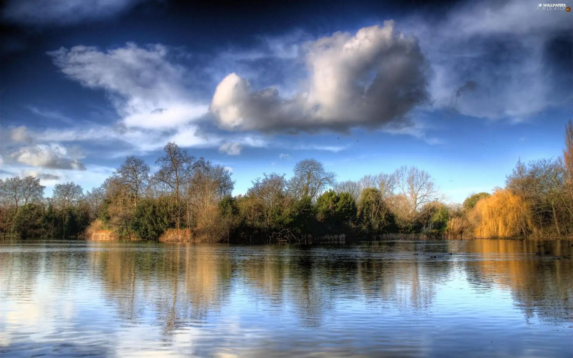 lake, viewes, clouds, trees