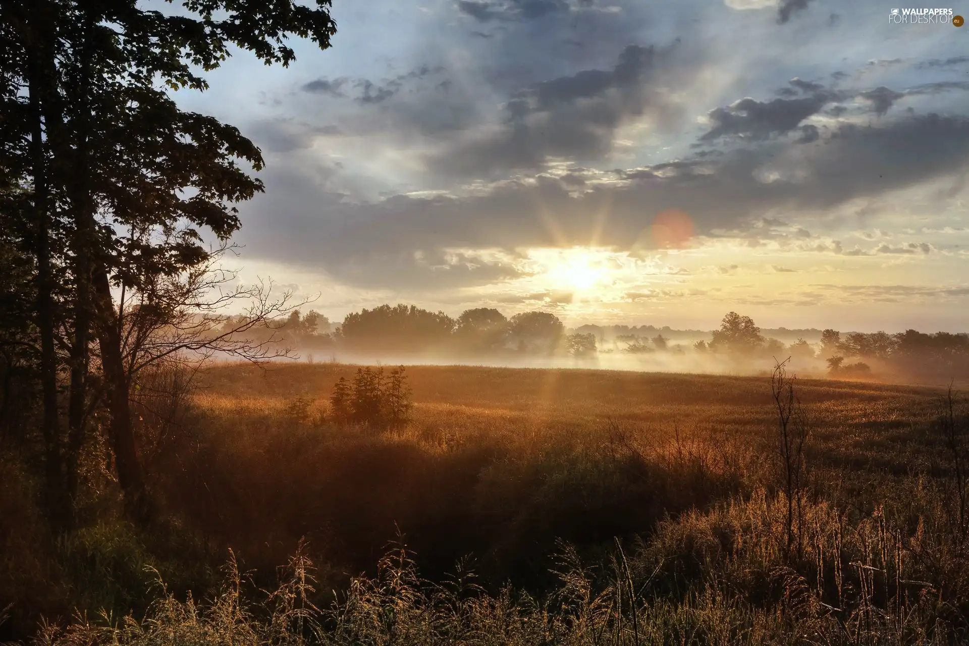 Meadow, clouds