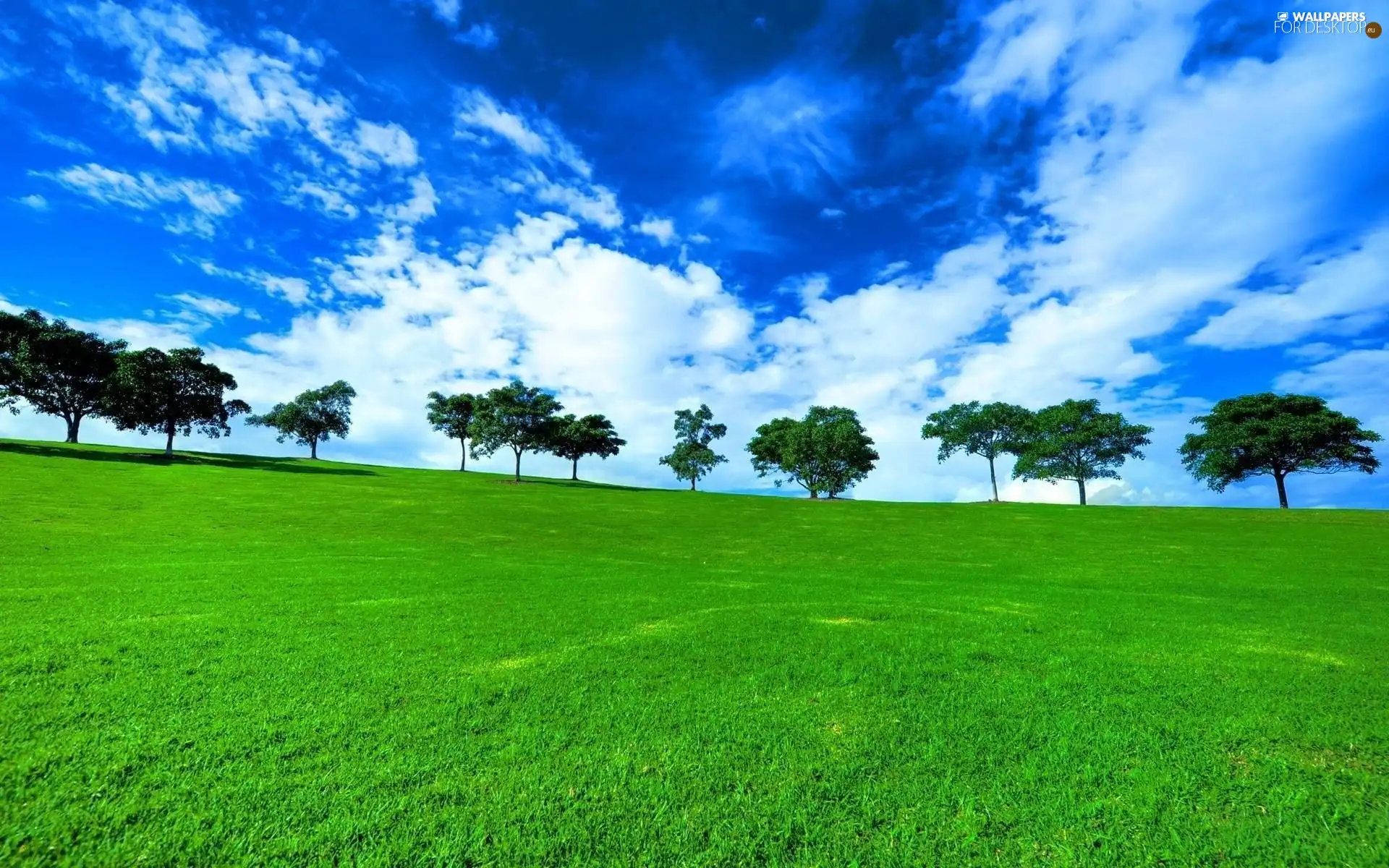 Meadow, viewes, clouds, trees