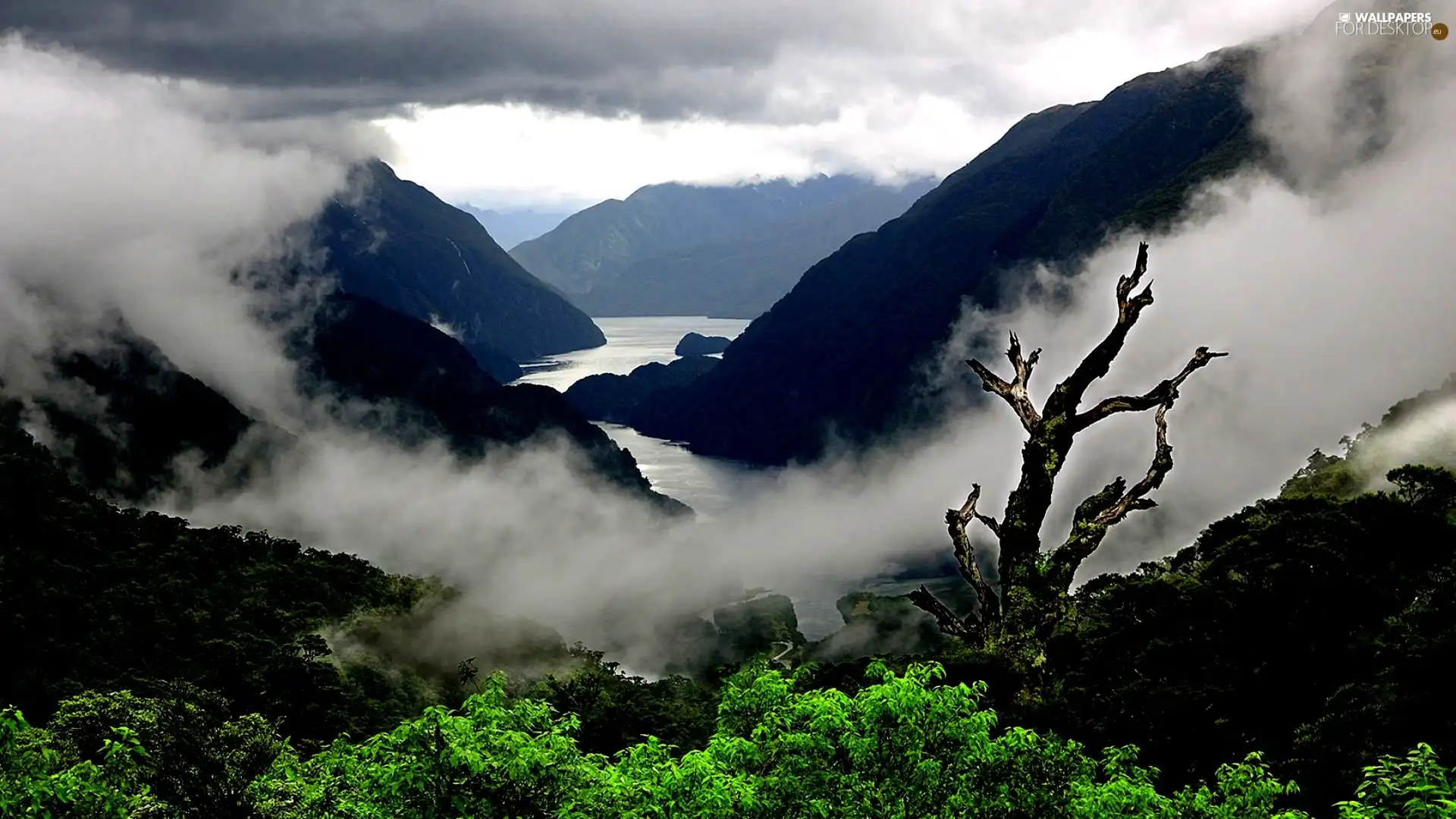 Mountains, Fog, clouds, River