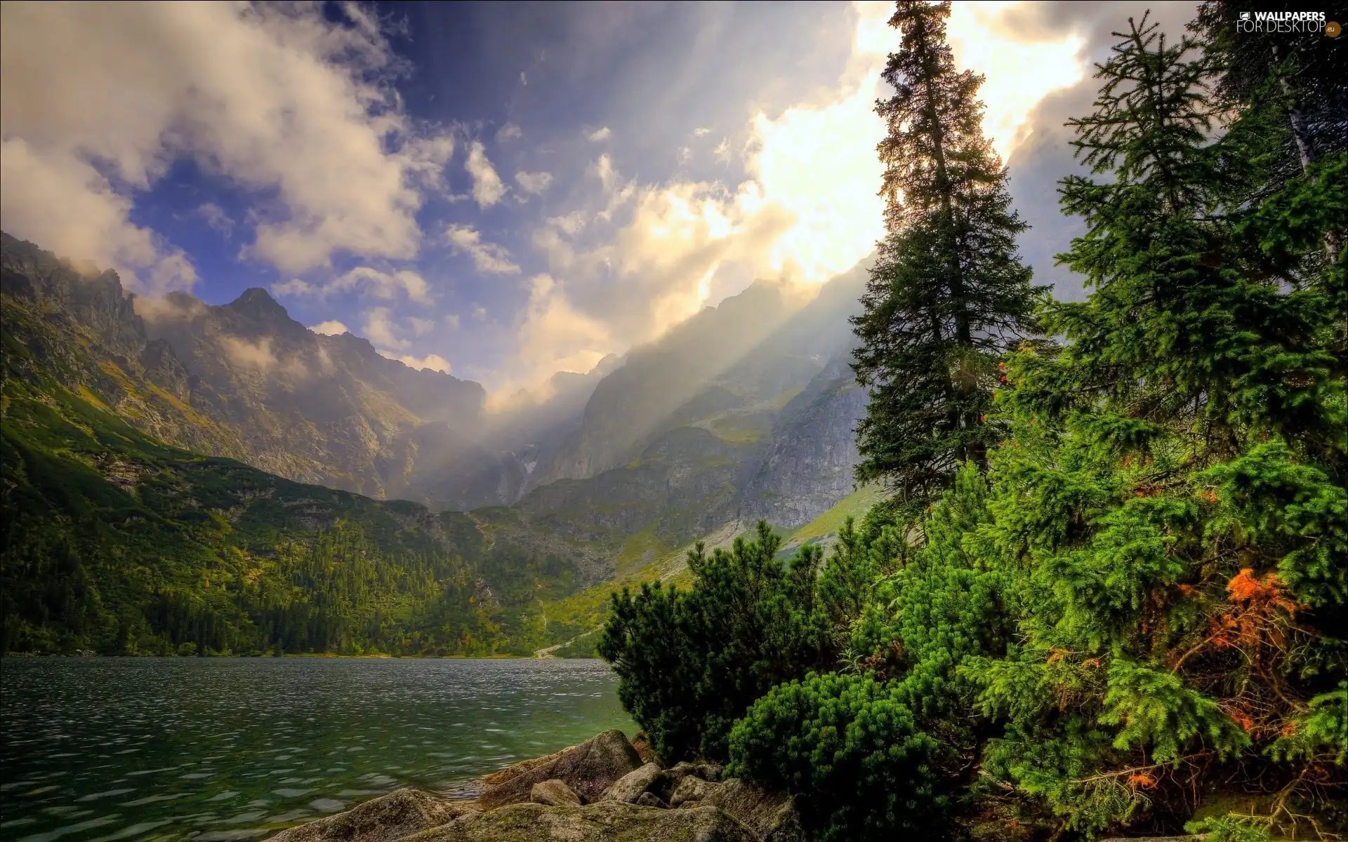 Mountains, forest, clouds, River