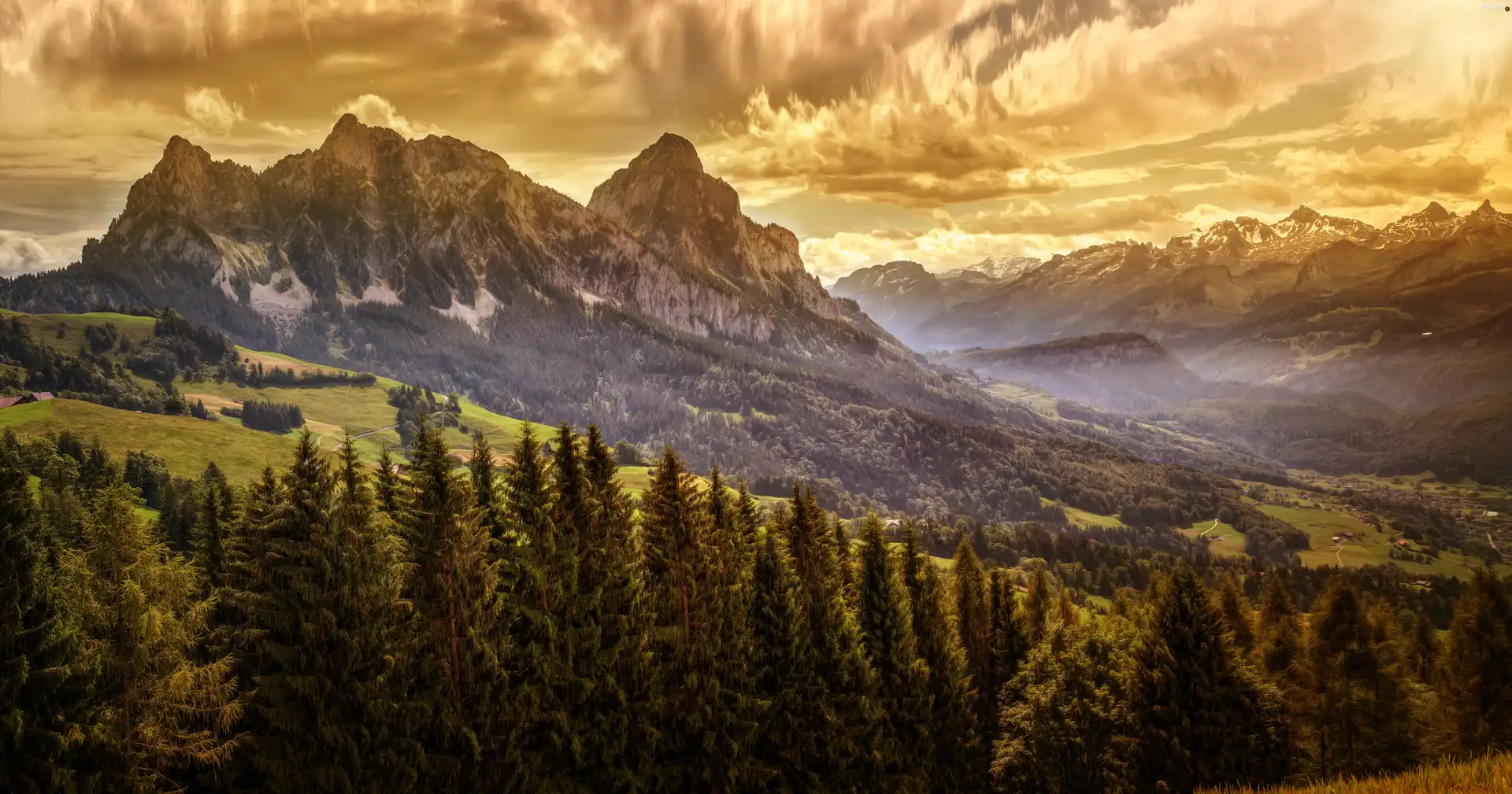 Mountains, storm, clouds, forest