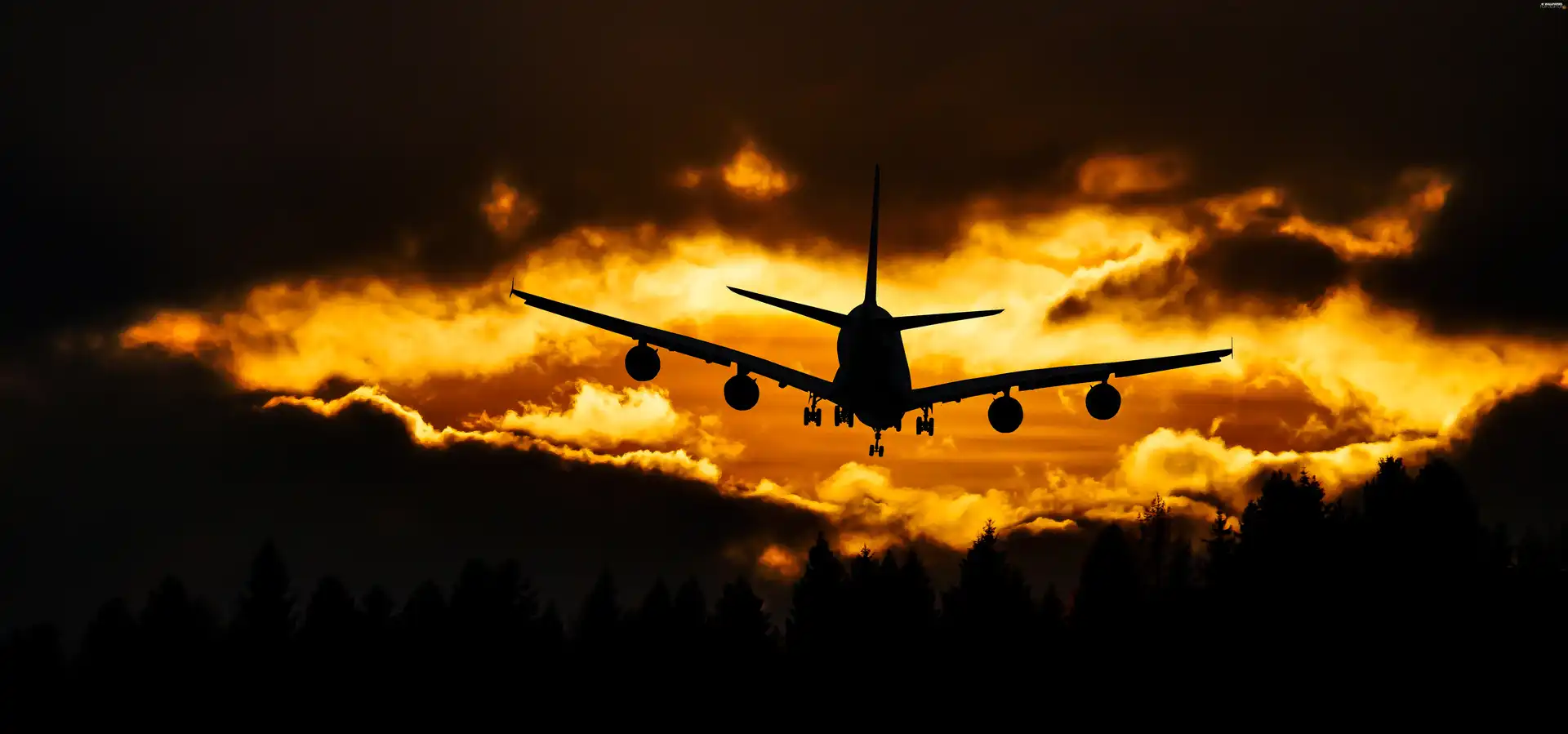 plane, clouds