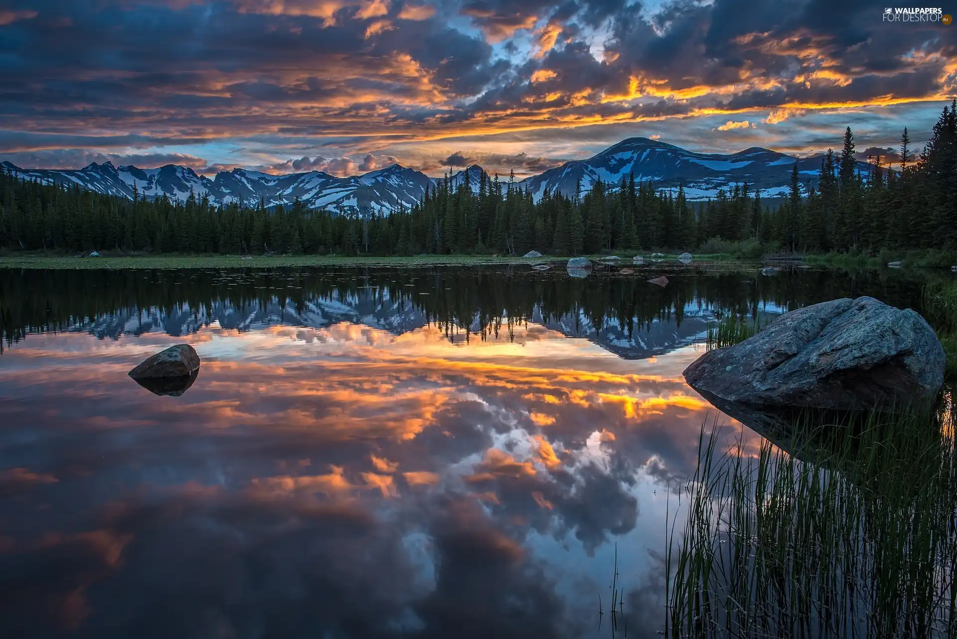 clouds, reflection, woods, lake, Mountains