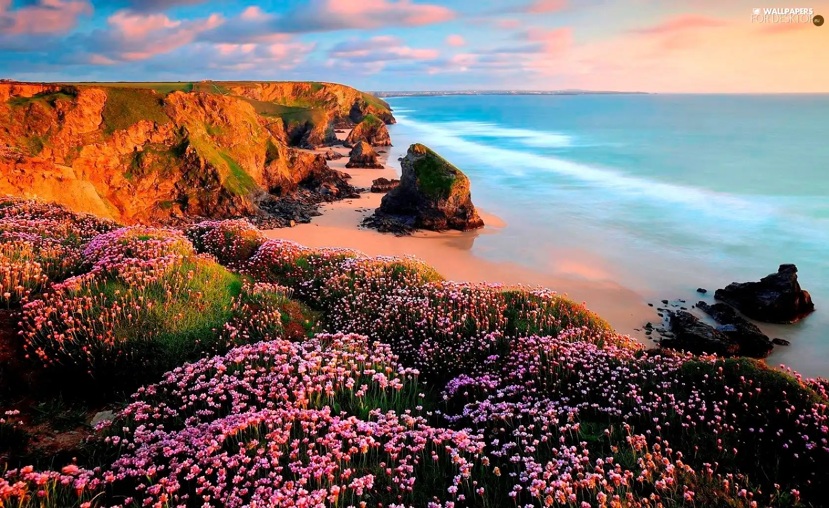 rocks, sea, clouds, Flowers