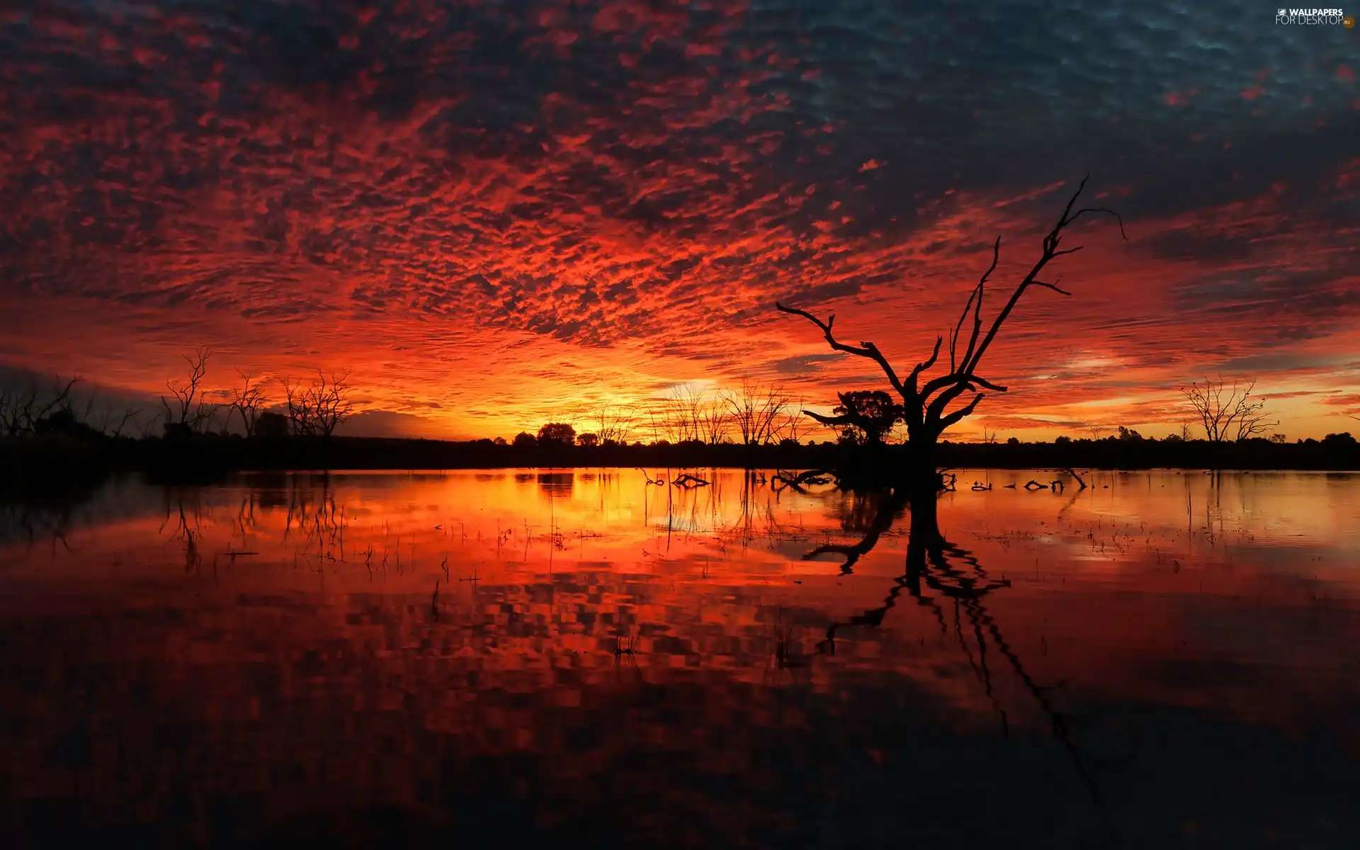 clouds, Sky, Sun, lake, west