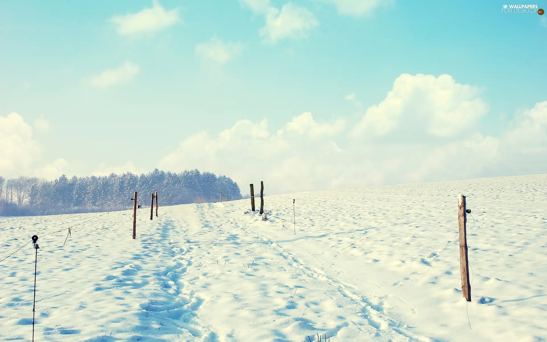 clouds, winter, snow