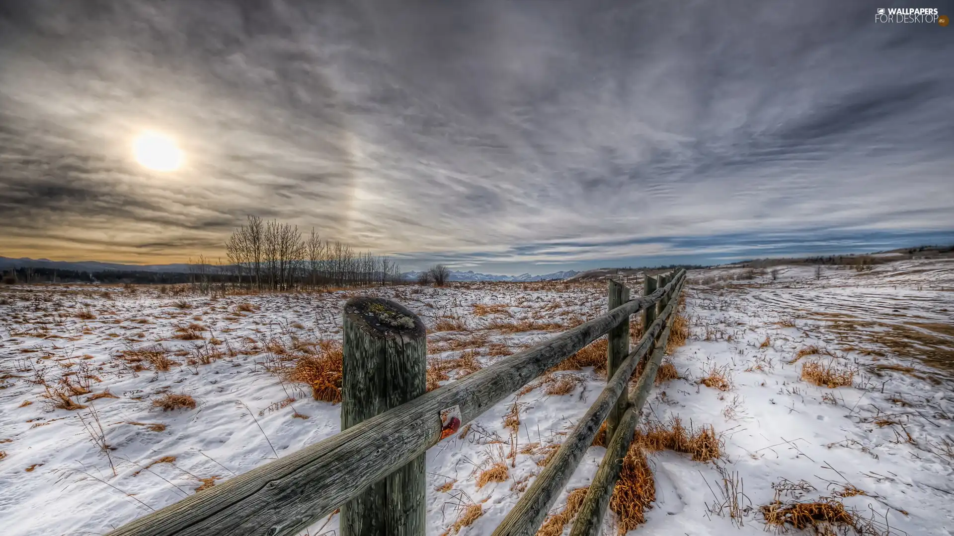 winter, Fance, clouds, Field