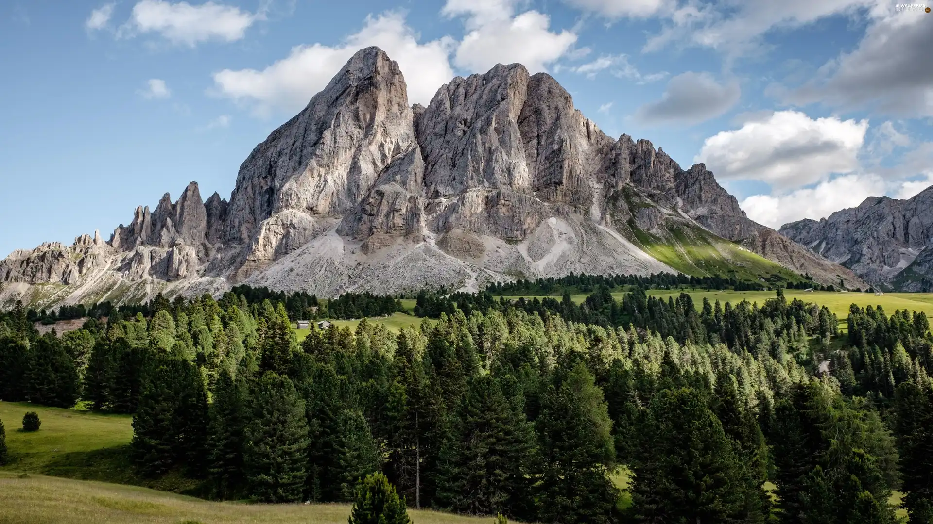 clouds, Mountains, woods