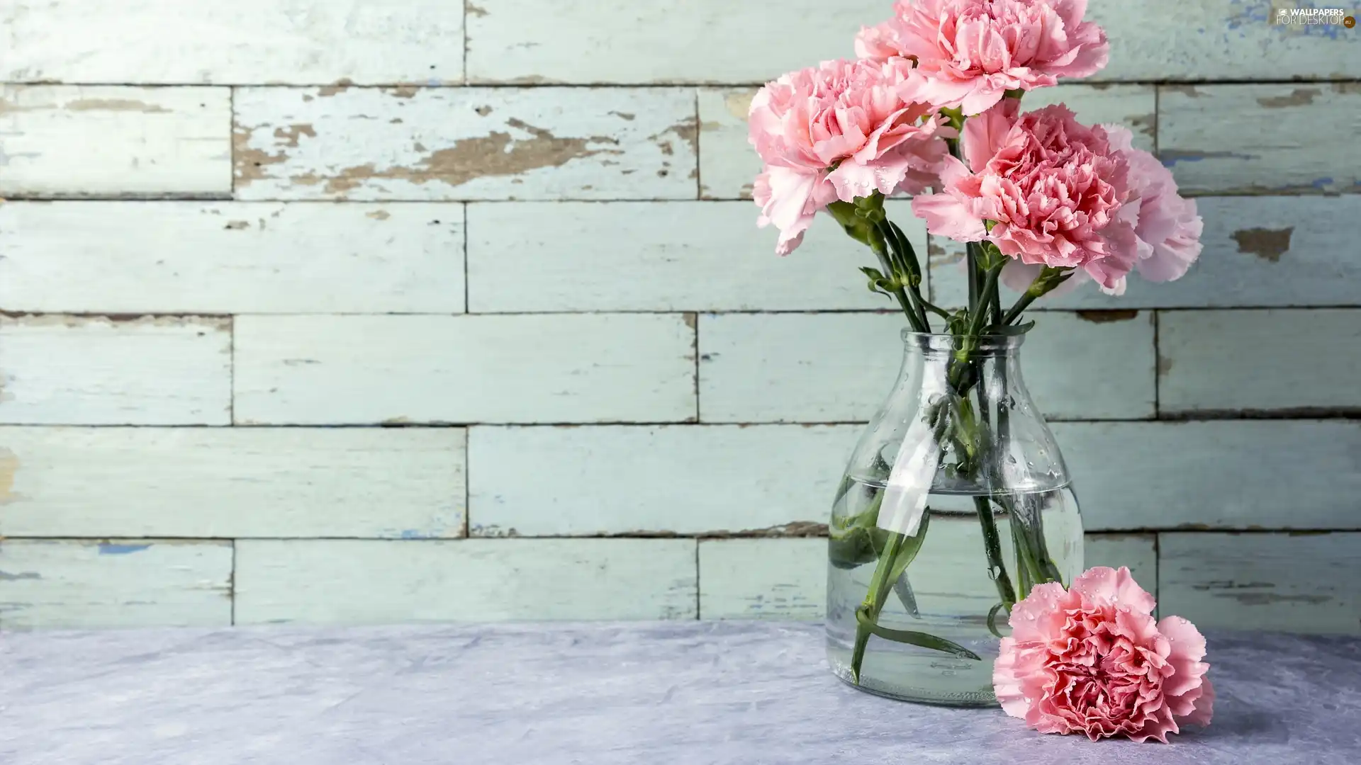 Vase, Colourfull Flowers, cloves