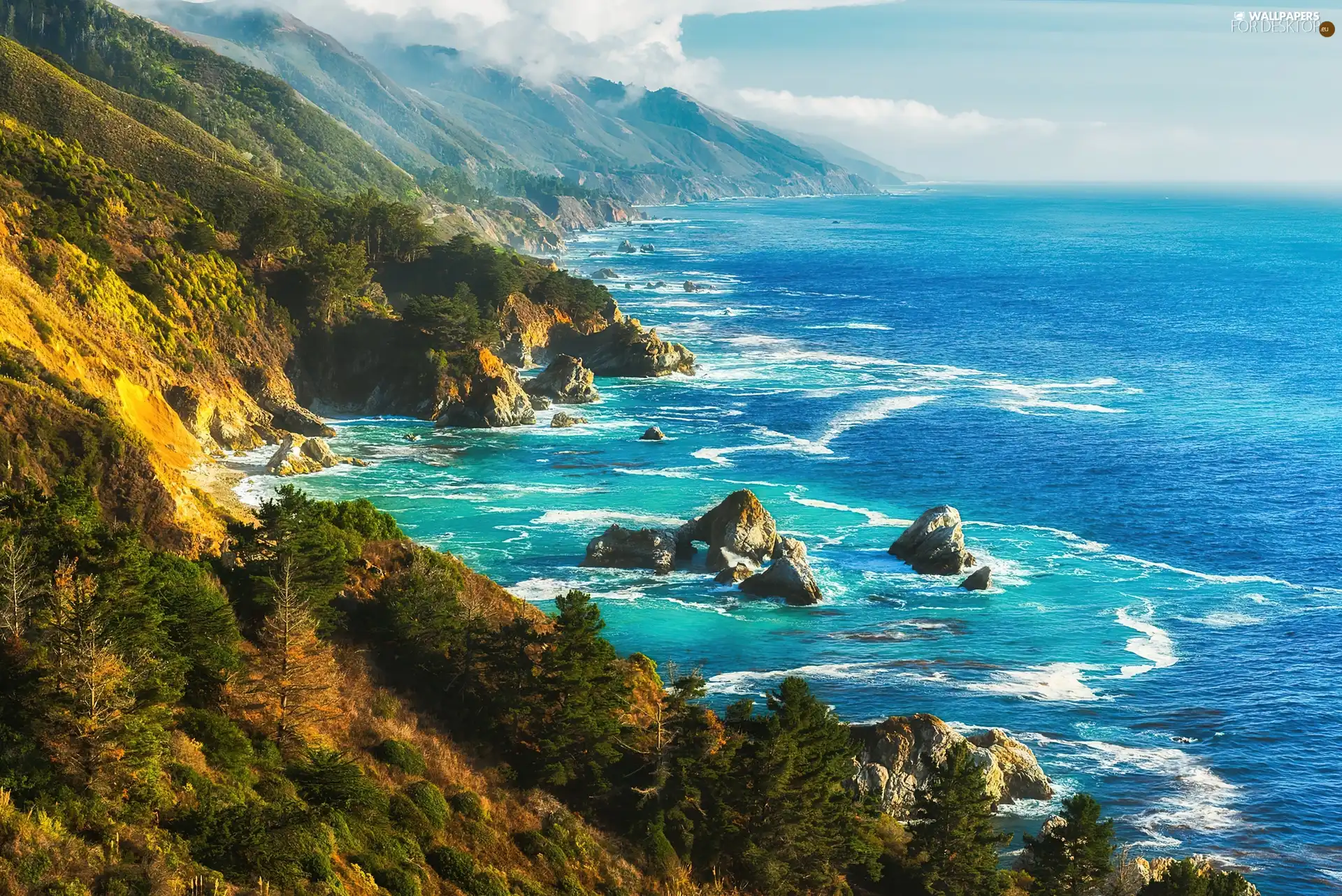 sea, Mountains, Coast, forested