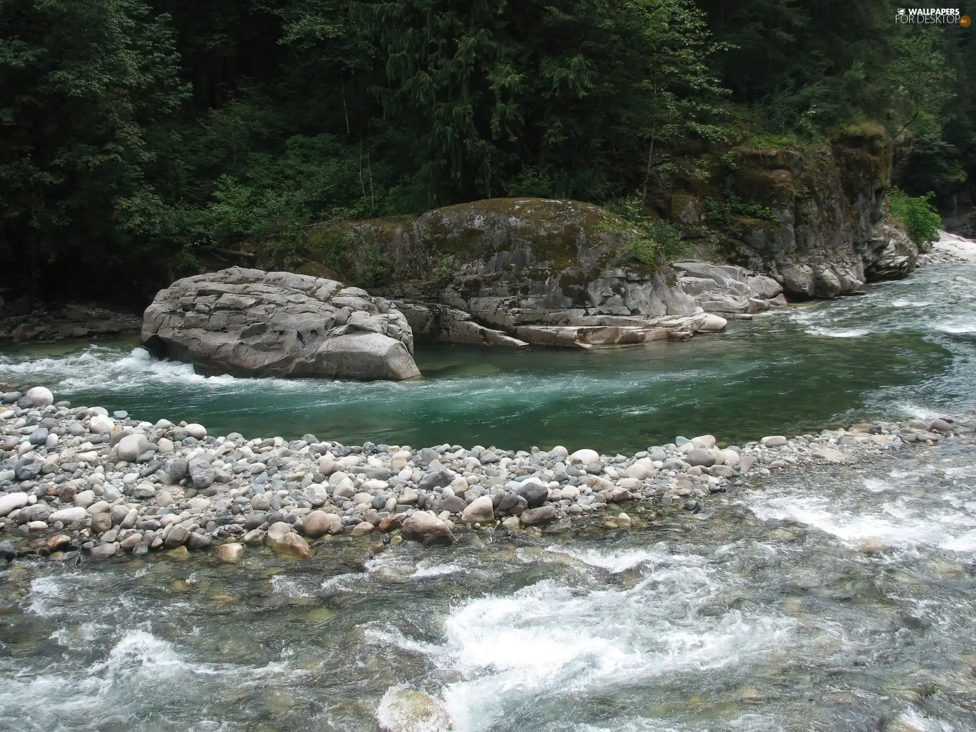 coast, River, Stones