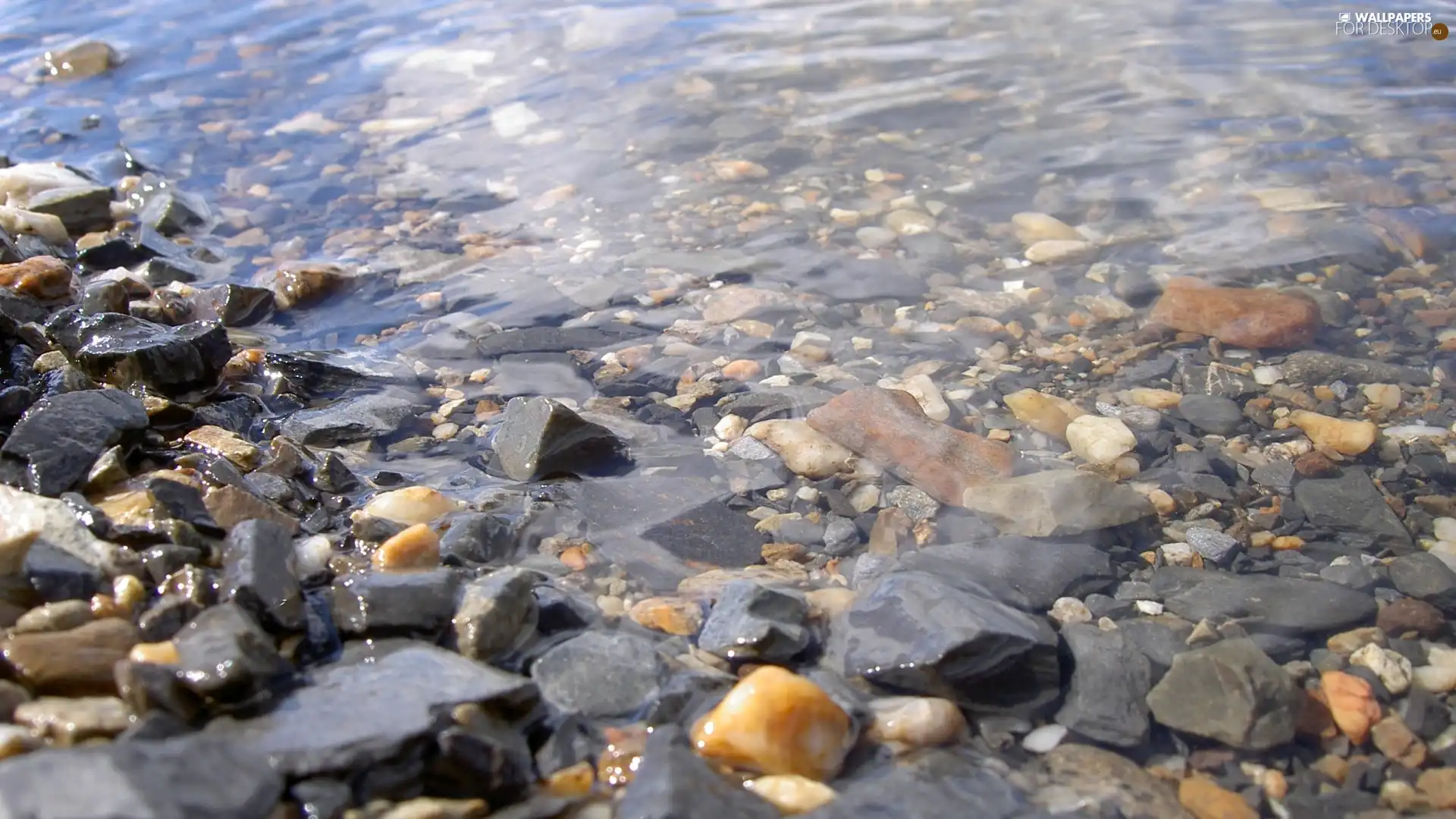 Stones, water, coast, clear