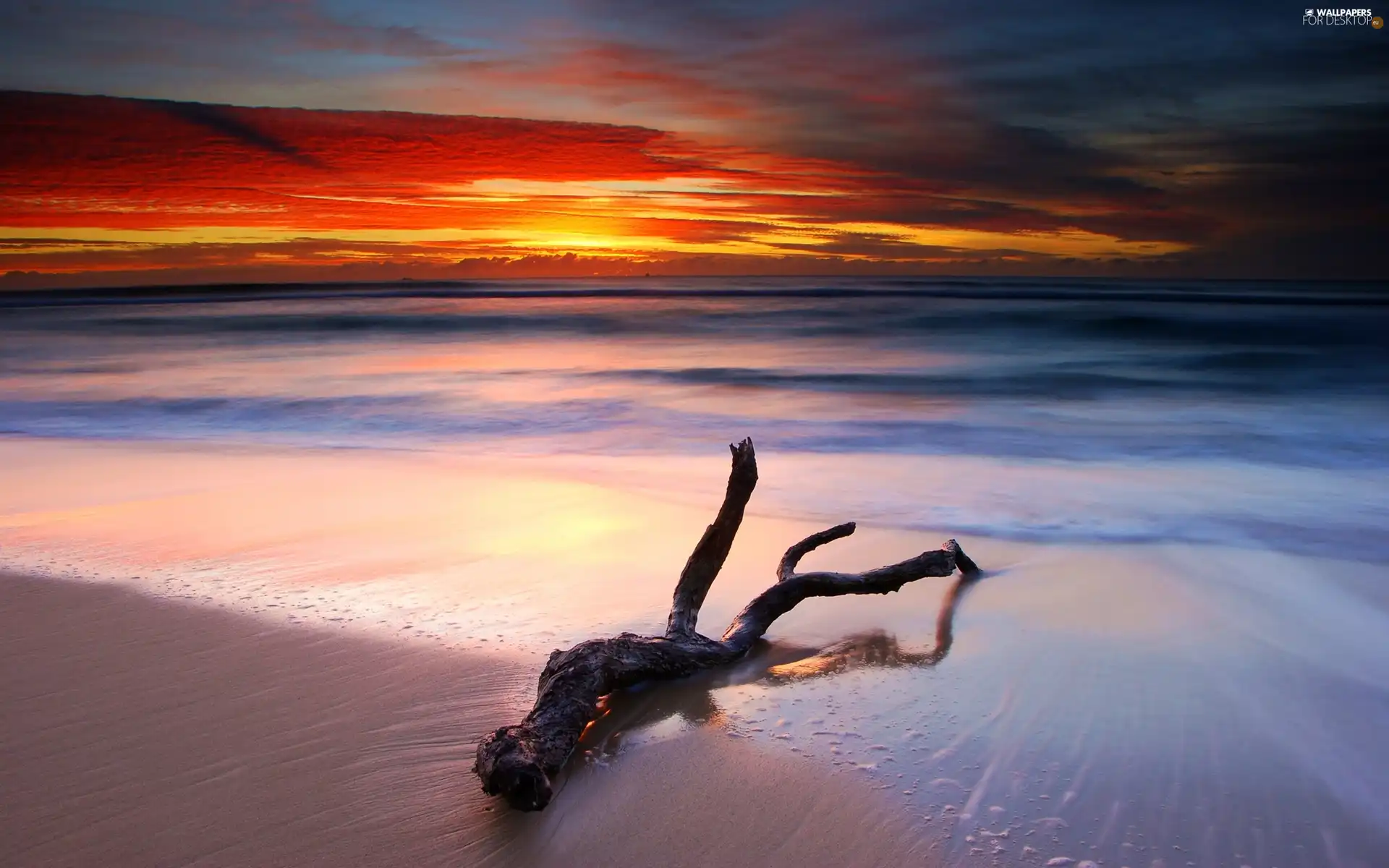 Sea, Lod on the beach, coast