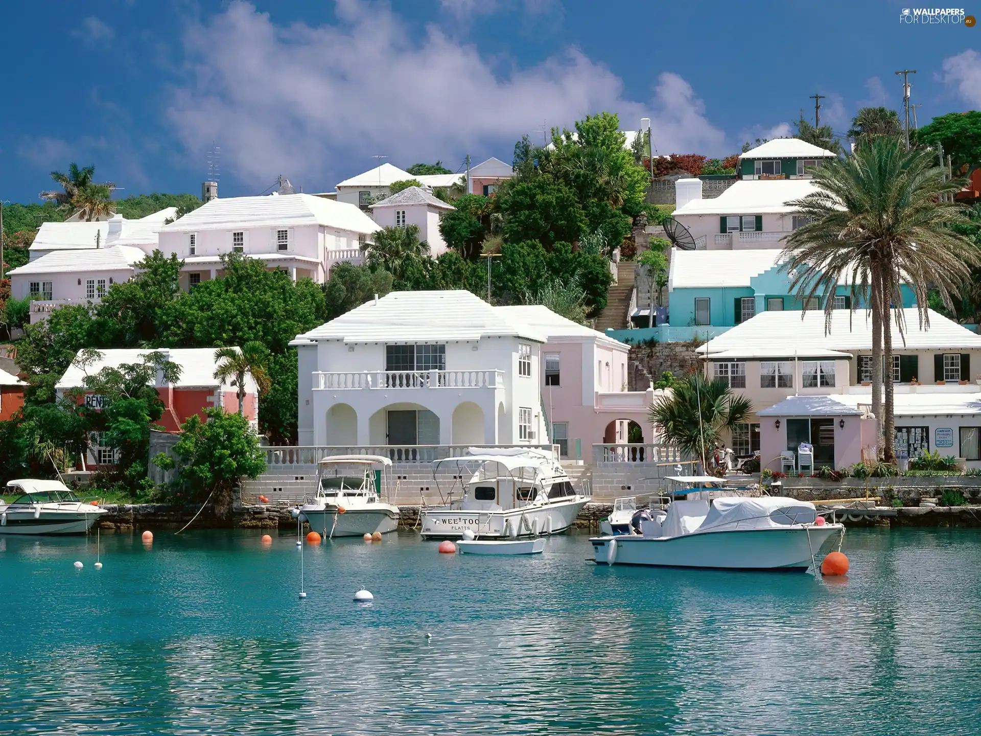 White, sea, Coast, Houses