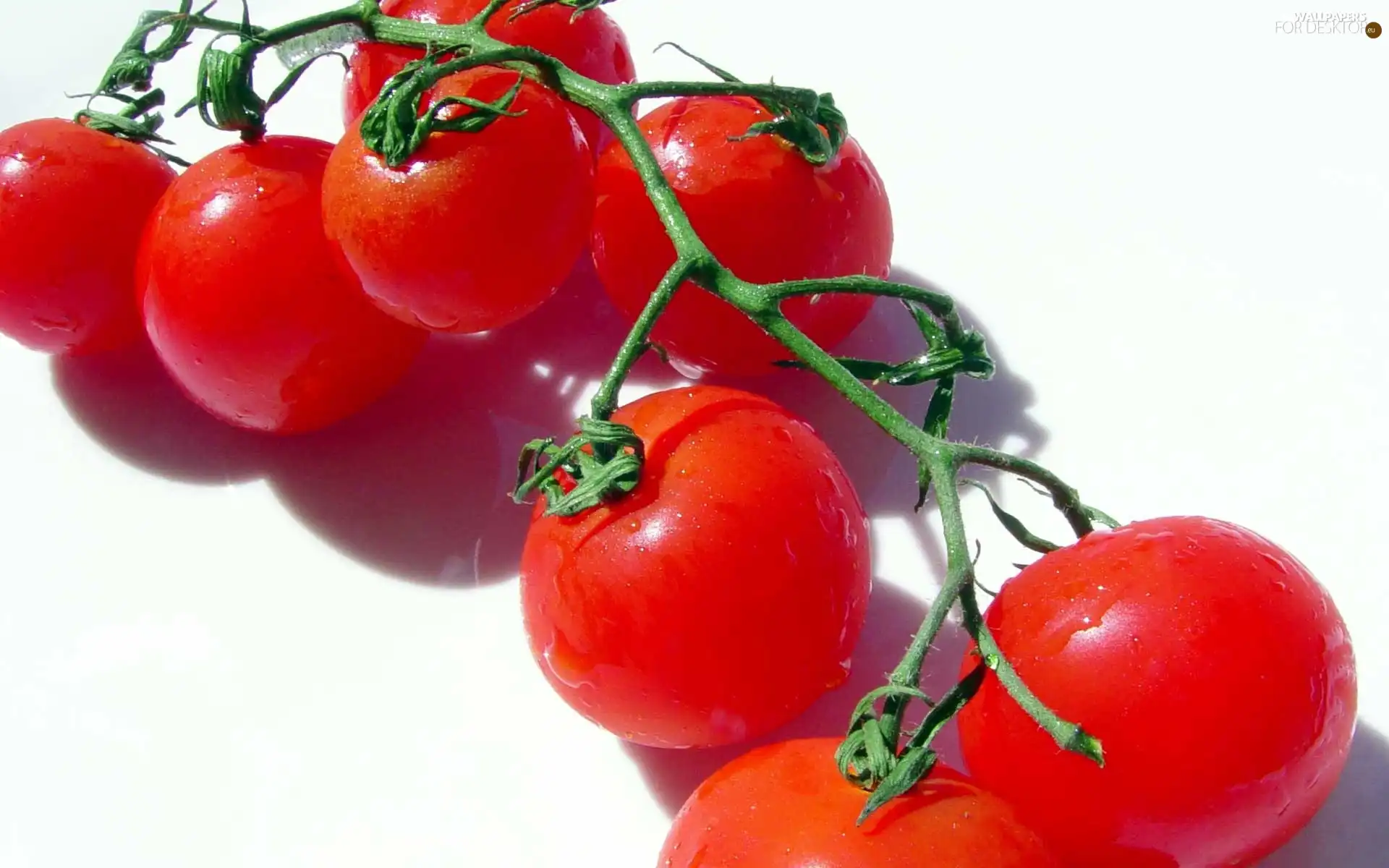 tomatoes, cocktail