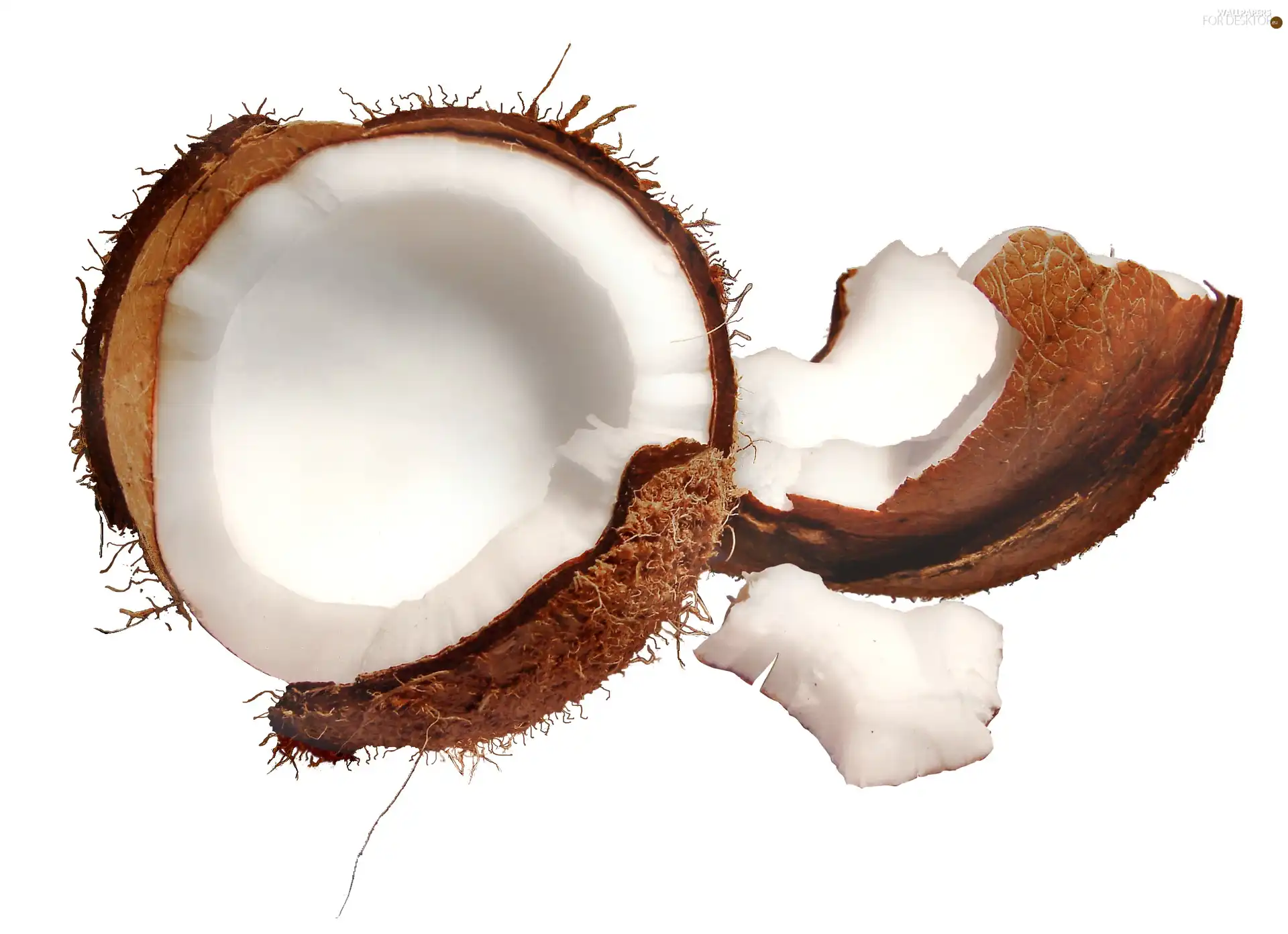 broken, Coconut