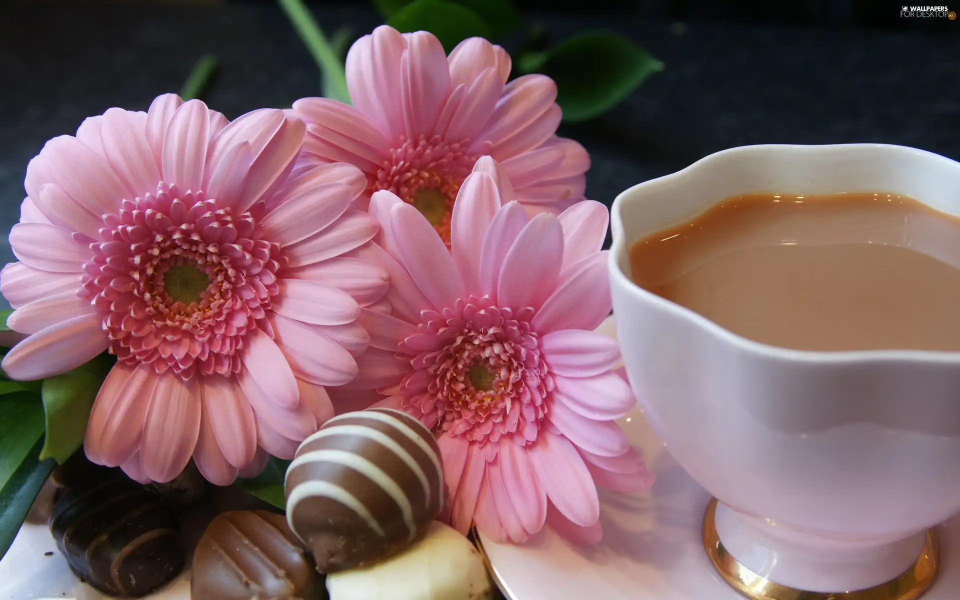 coffee, Chocolates, gerberas, cup, Pink