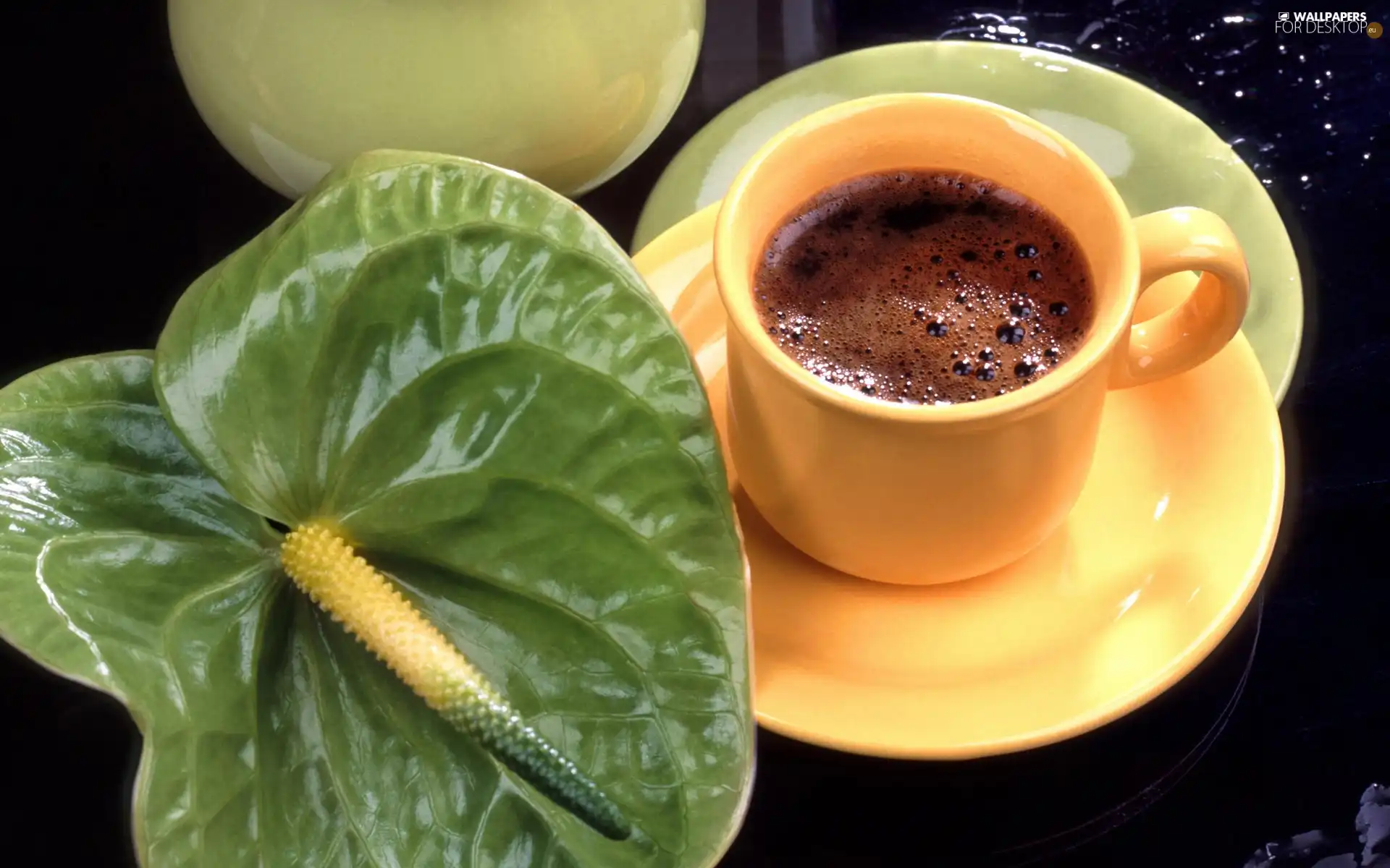 Anturium, cup, coffee, green ones