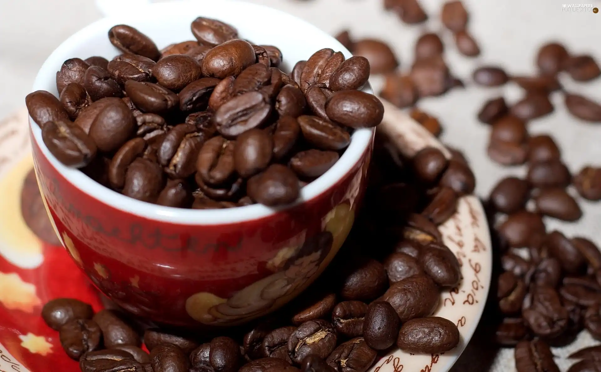 saucer, grains, coffee, cup